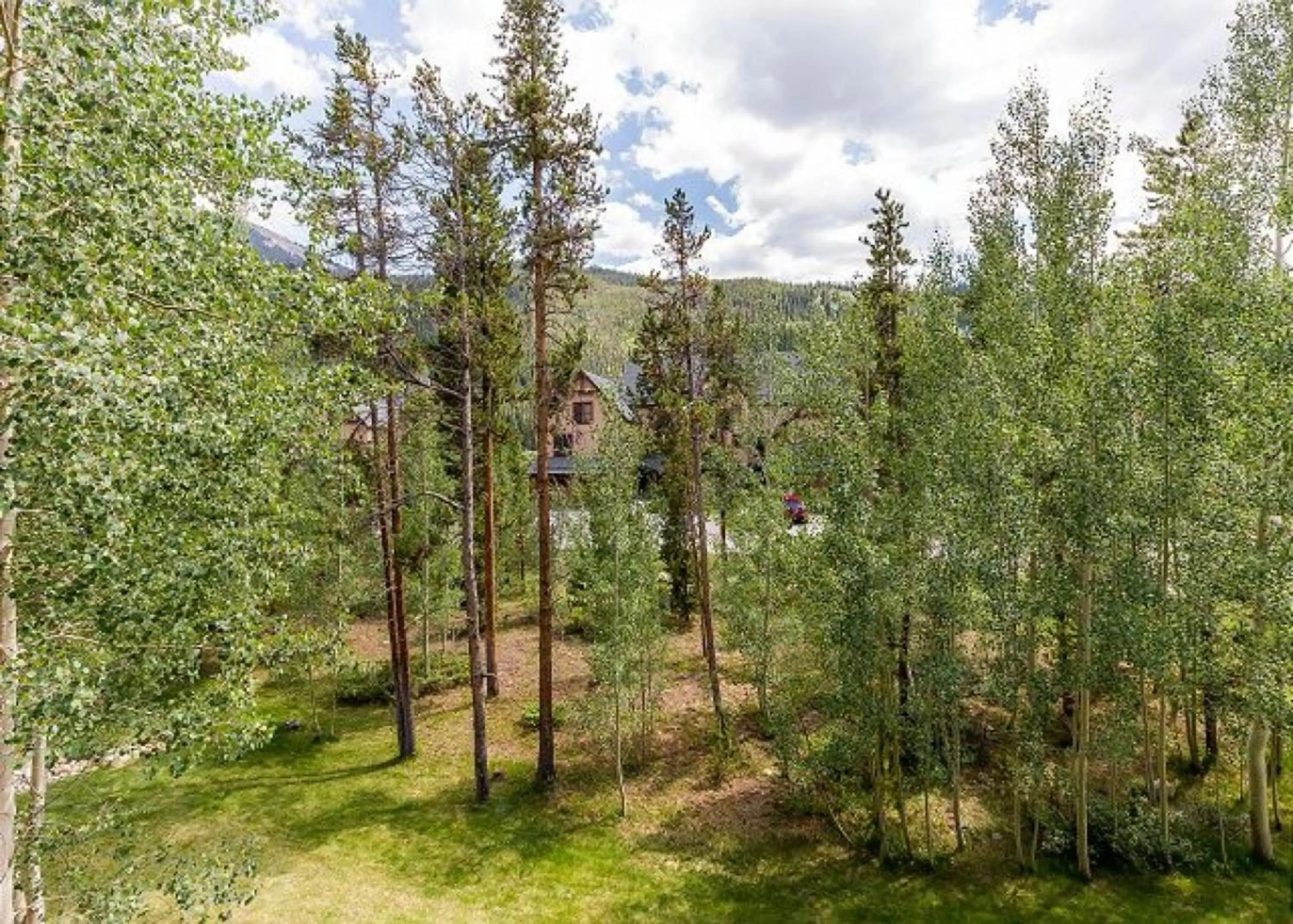 Natural landscape in Red Hawk Townhomes by Summit County Mountain Retreats