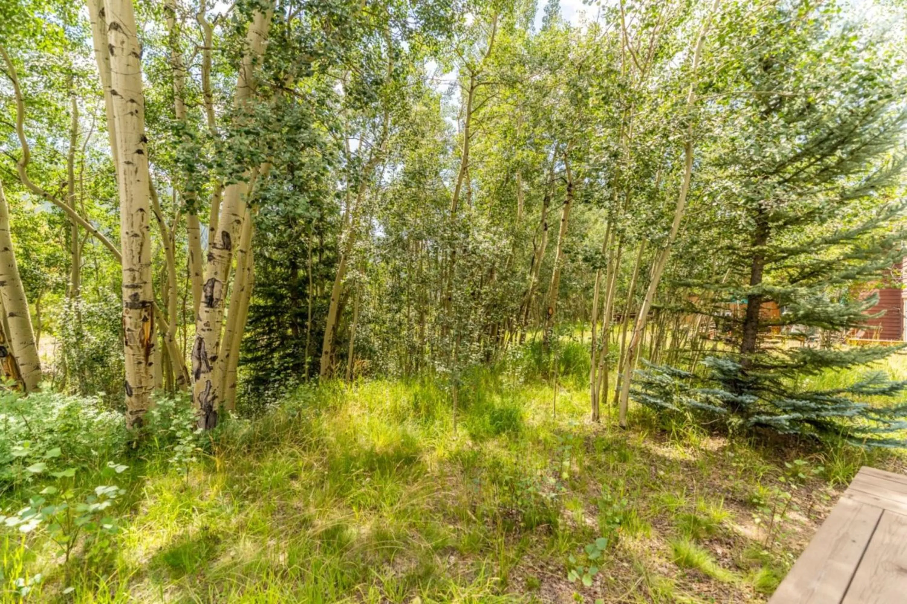 Natural landscape in Ski Tip by Summit County Mountain Retreats