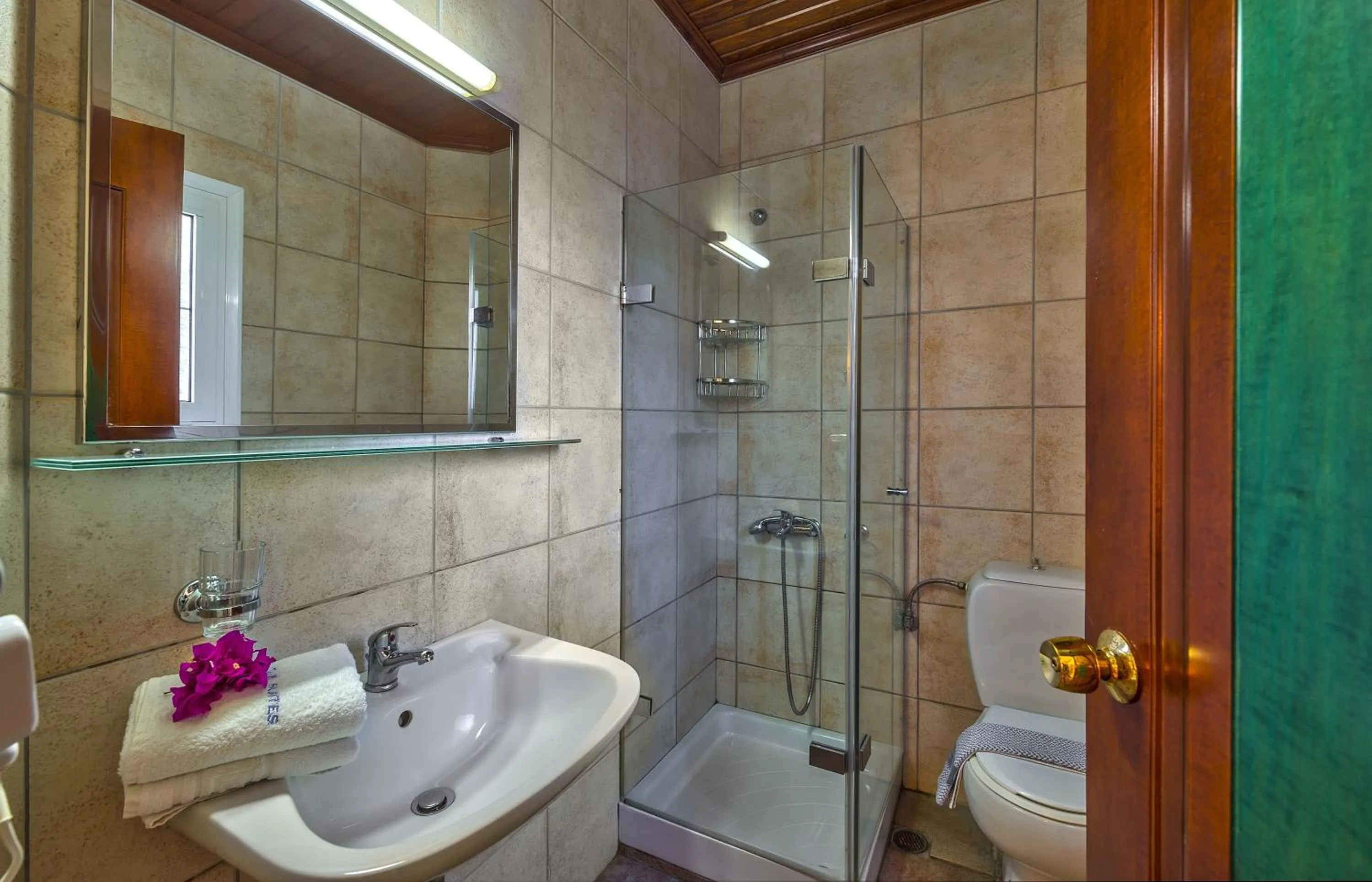 Shower in Castle Suites Hotel