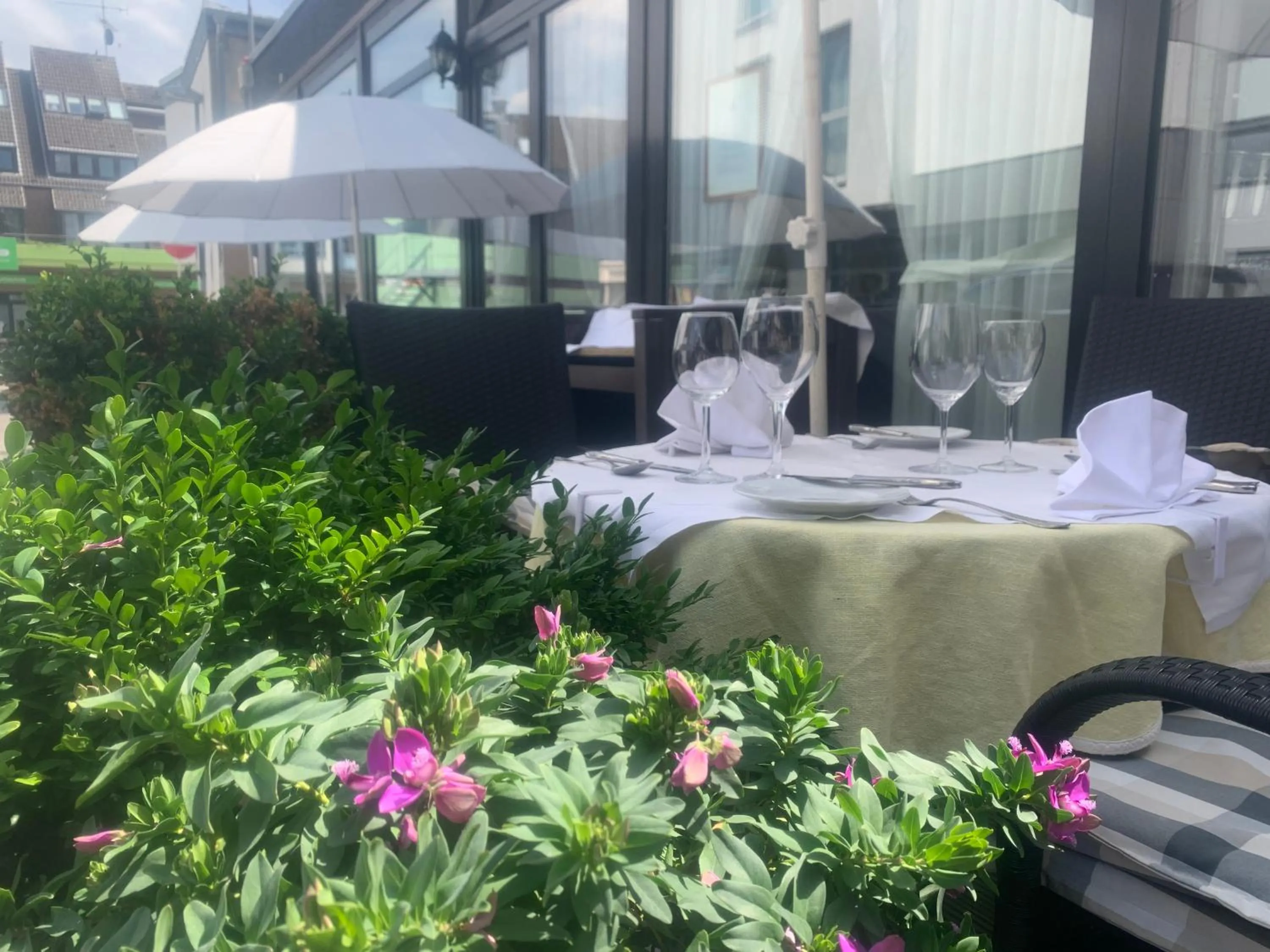 Garden view in Balthasar Neumann Speiserei & Gästehaus - Zentrum Brühl -E-Ladestation, nähe Phantasialand