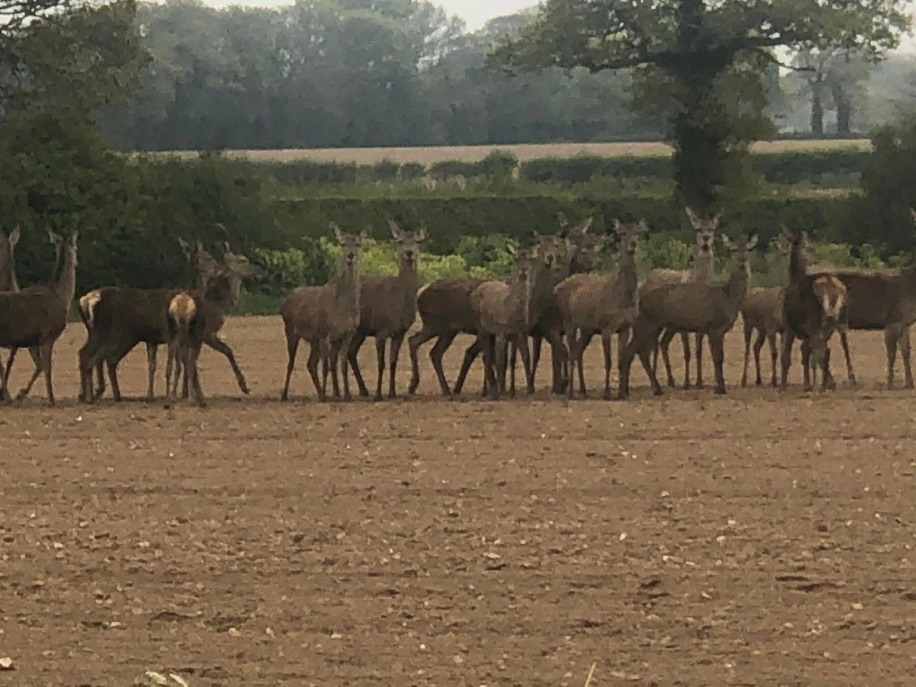 Day in Bumble Barn Bed & Breakfast