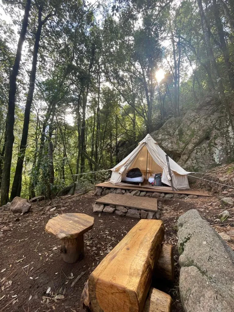 Auberge De La Foret Bonifatu