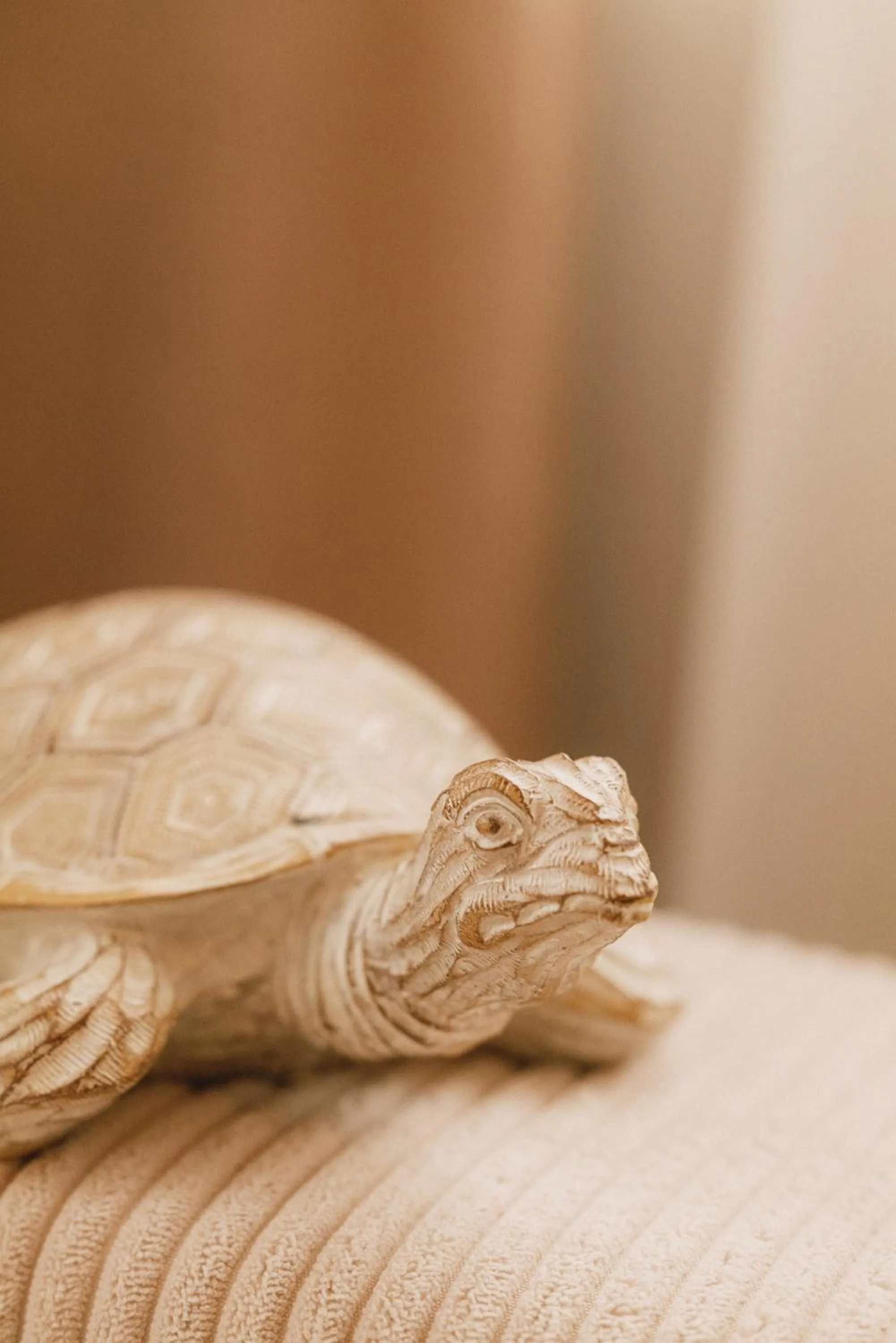 Decorative detail in 2Places Soul