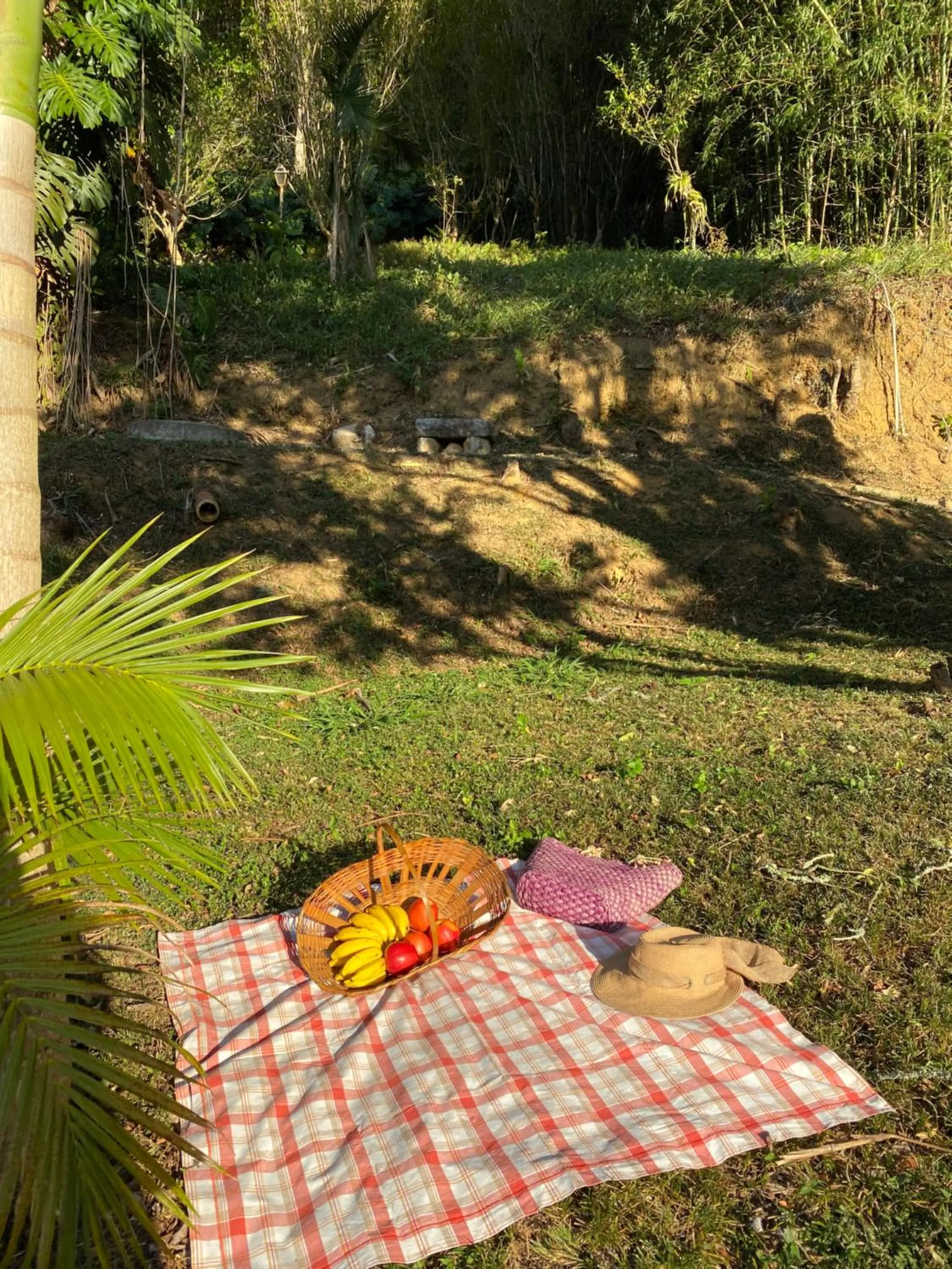 Natural landscape in Pousada Princesa Isabel - Visconde