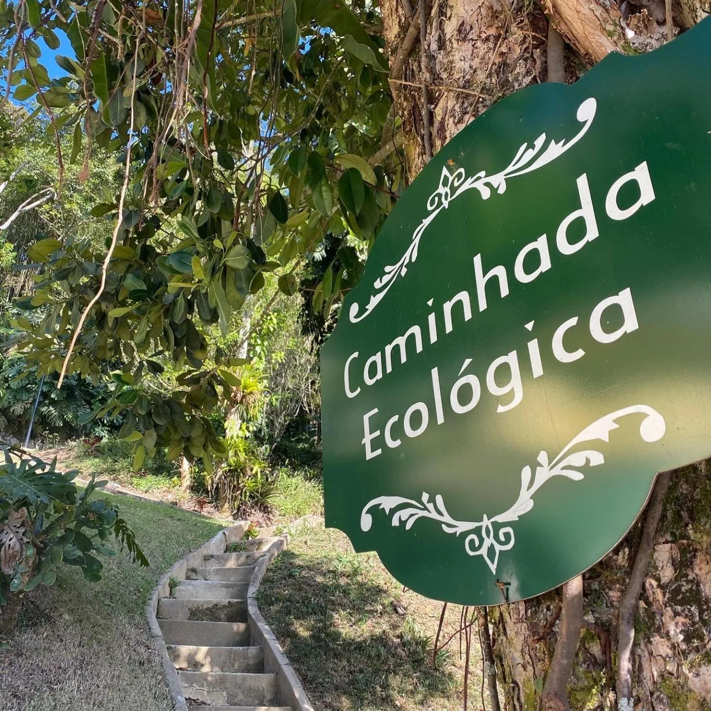 Activities in Pousada Princesa Isabel - Visconde