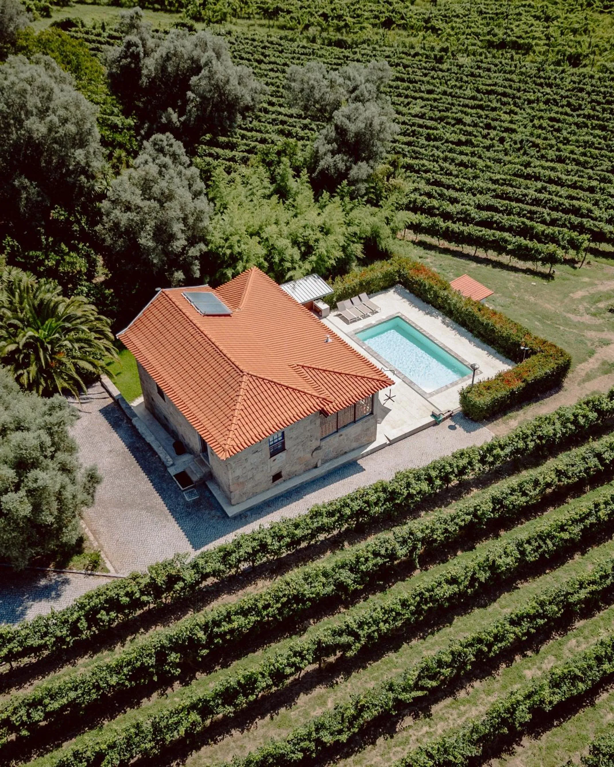 Bird's eye view in Casa Lata - Agroturismo e Enoturismo