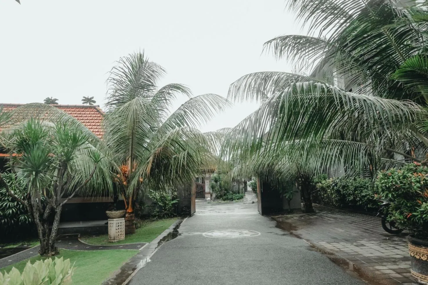 Garden in Hotel Diana 2