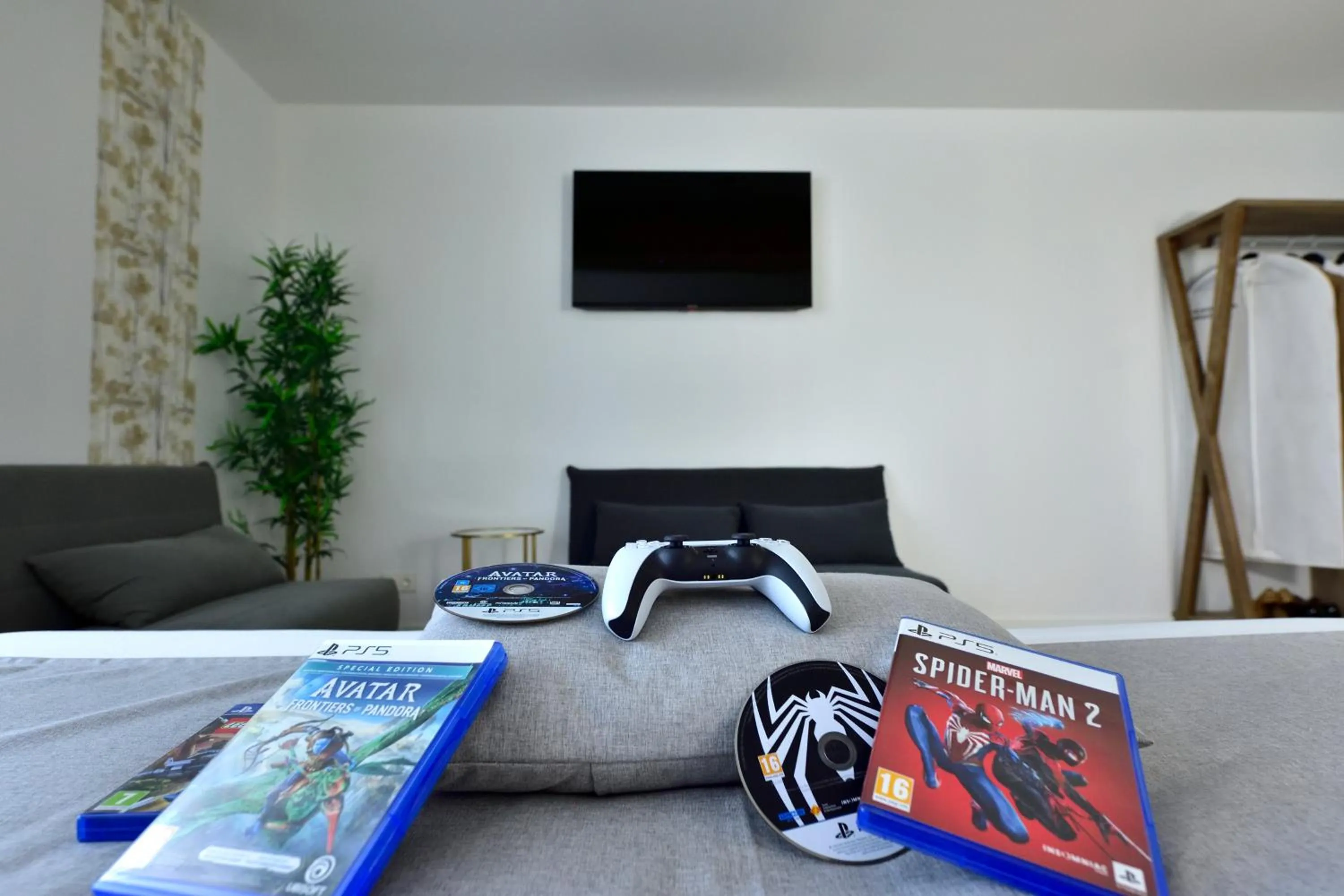 TV and multimedia in Rey Don Sancho