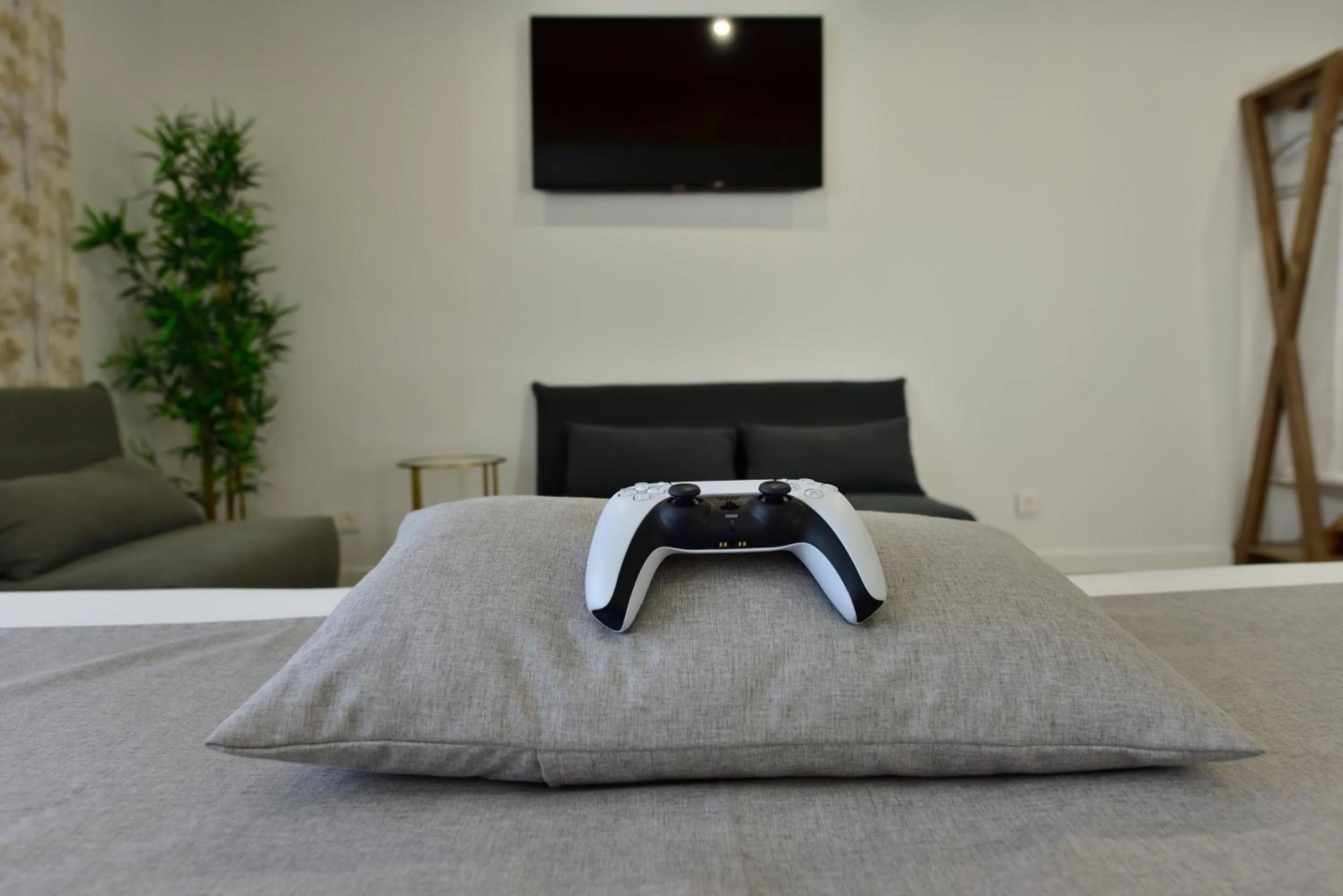 TV and multimedia in Rey Don Sancho