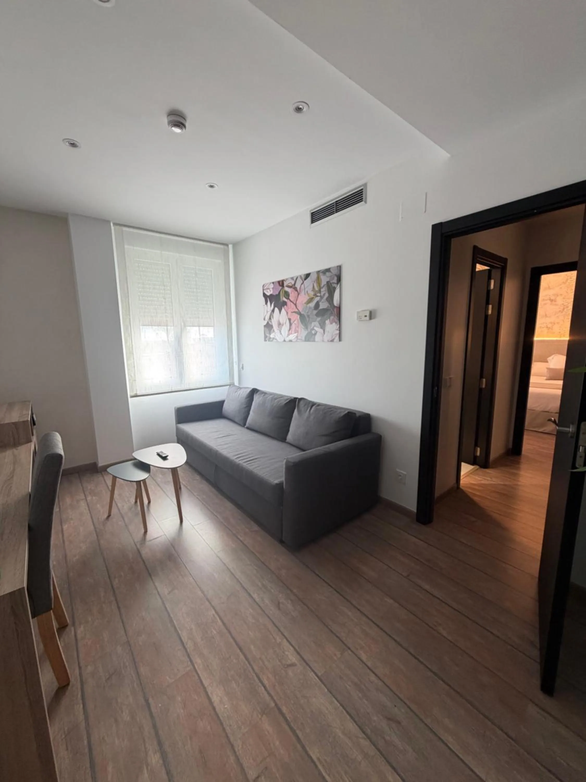 Living room in Rey Don Sancho