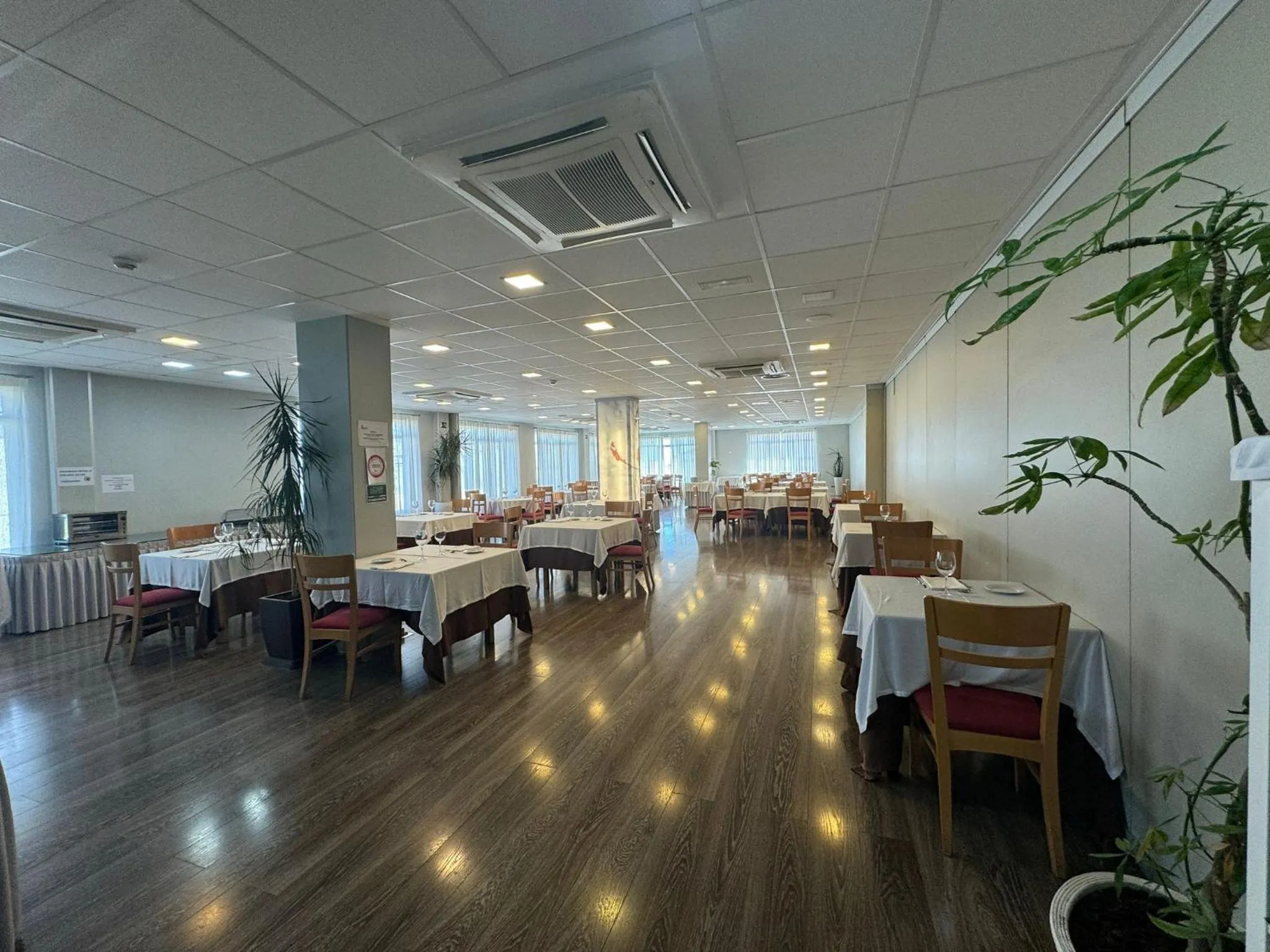 Restaurant/places to eat in Rey Don Sancho