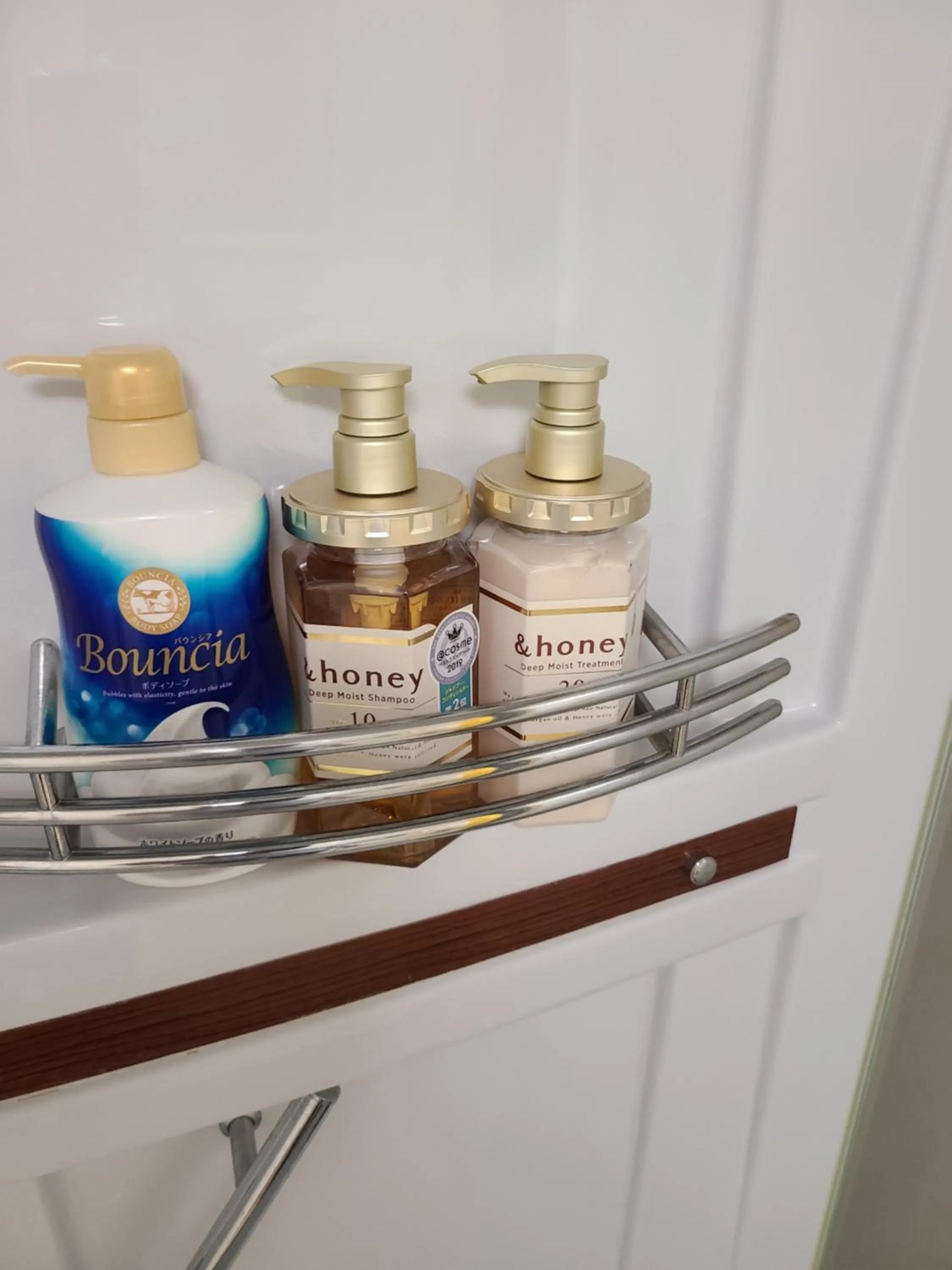 Shower in Bluebird Hotel