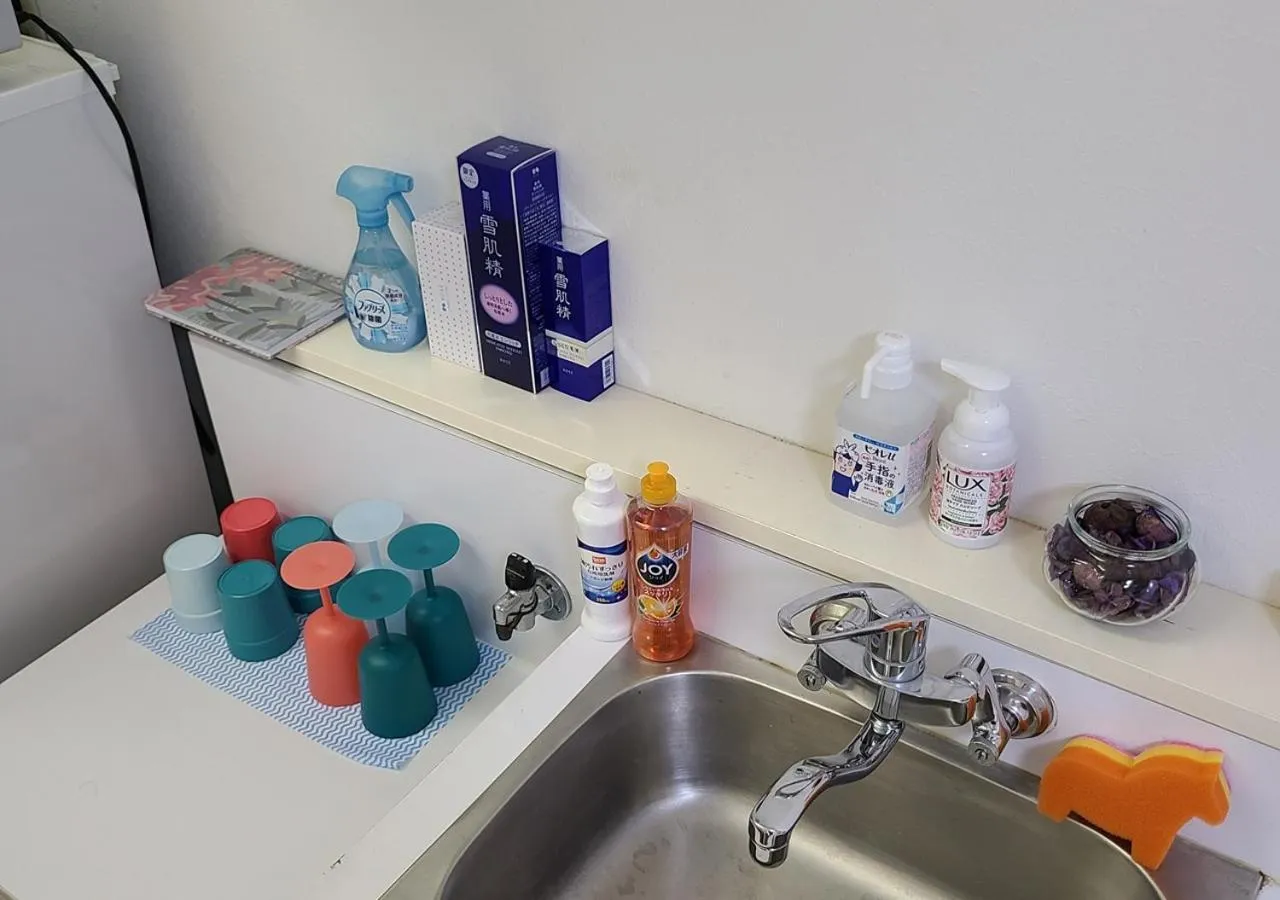 Kitchen or kitchenette in Bluebird Hotel