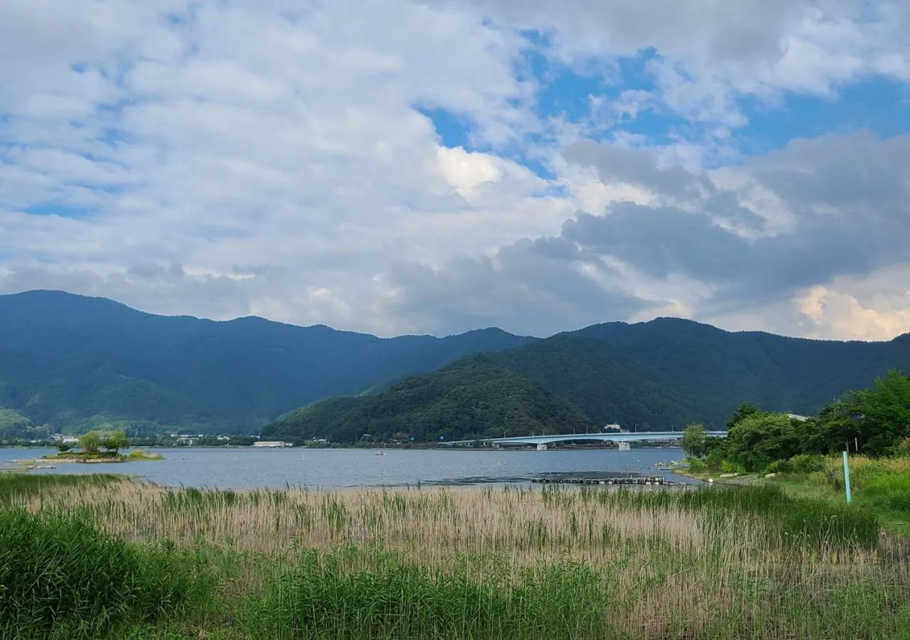 Natural landscape in Bluebird Hotel