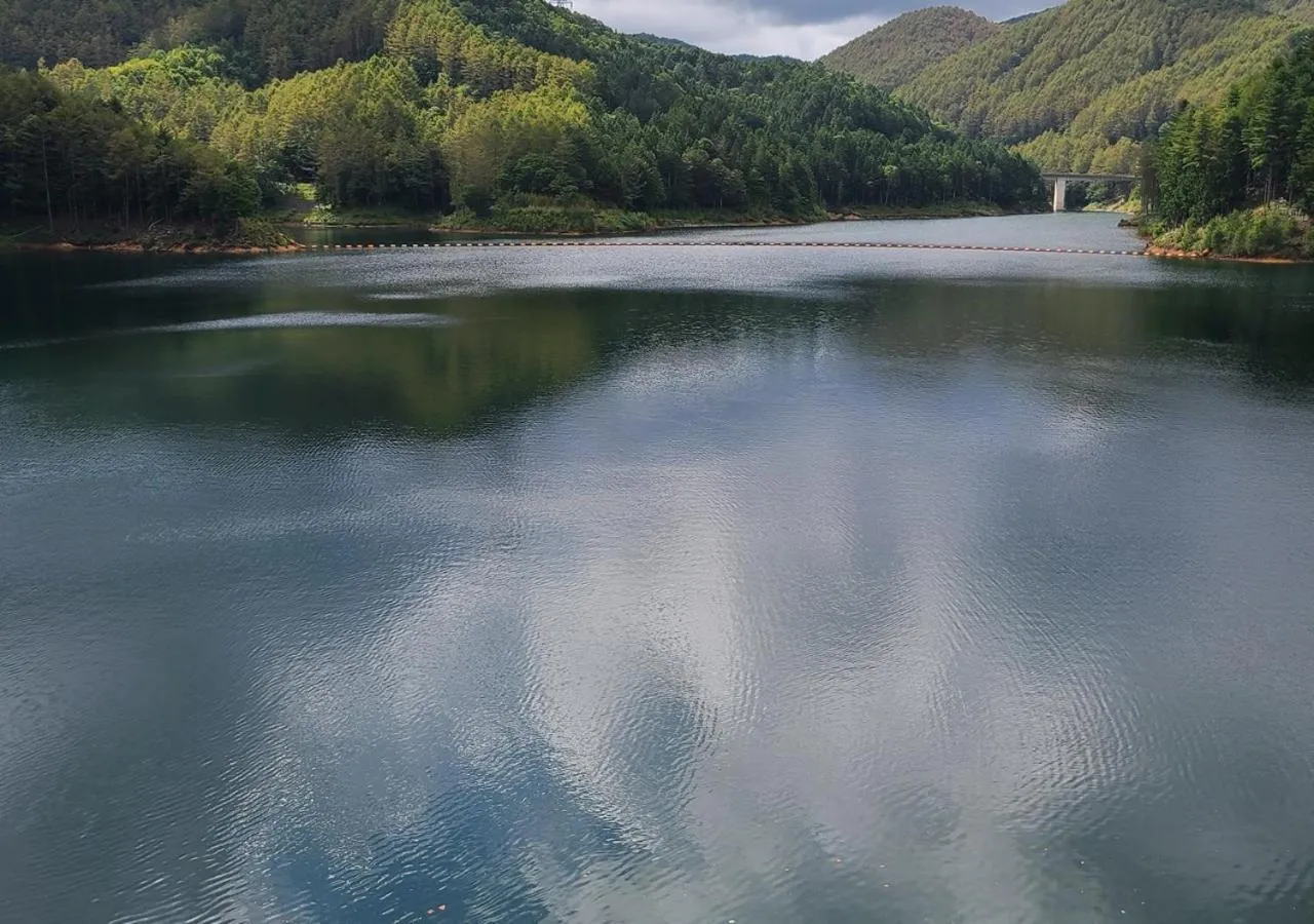 Other in Bluebird Hotel