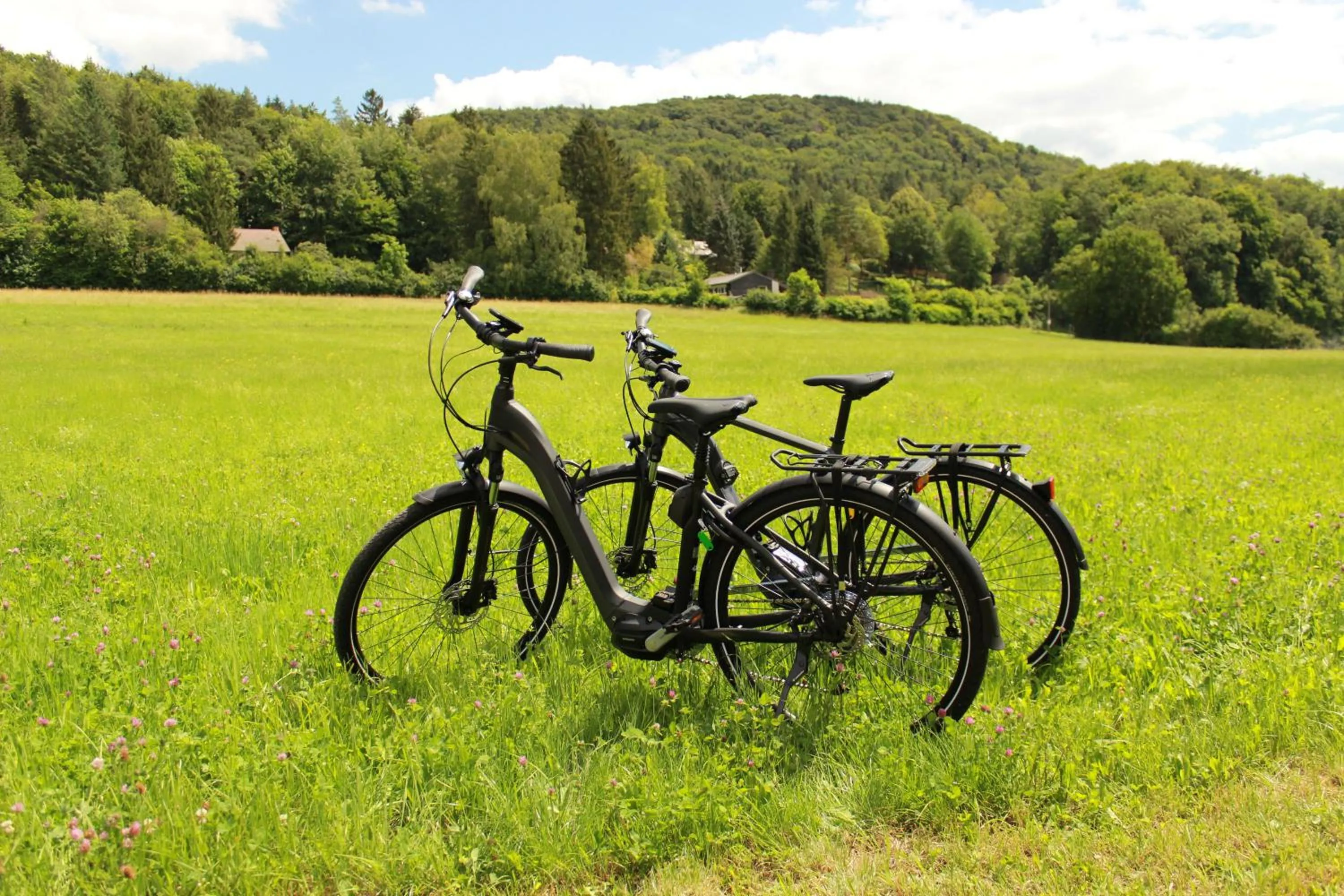 Cycling in Hotel Lindenhof Hubmersberg