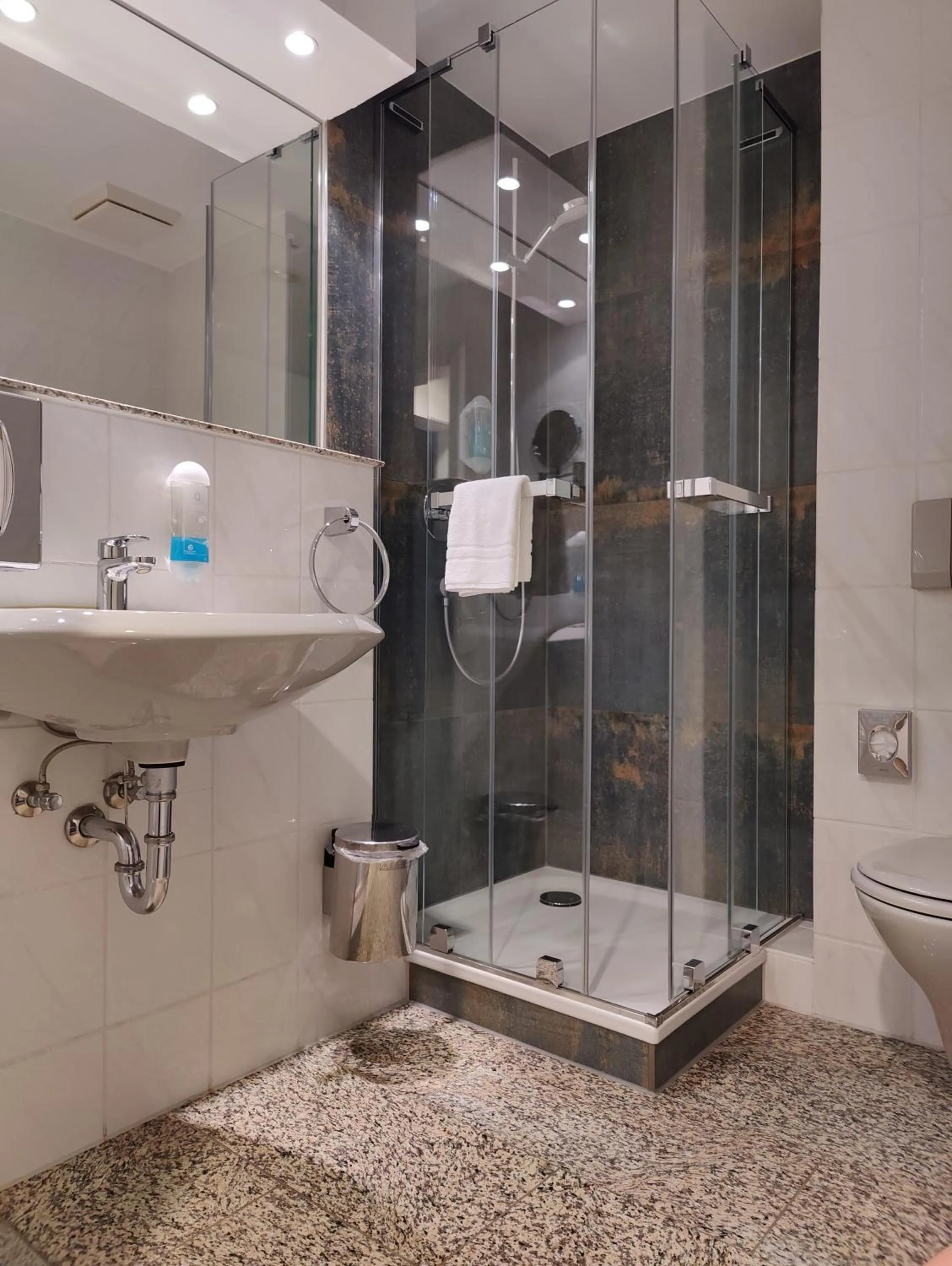 Shower in Hotel Stettiner Hof