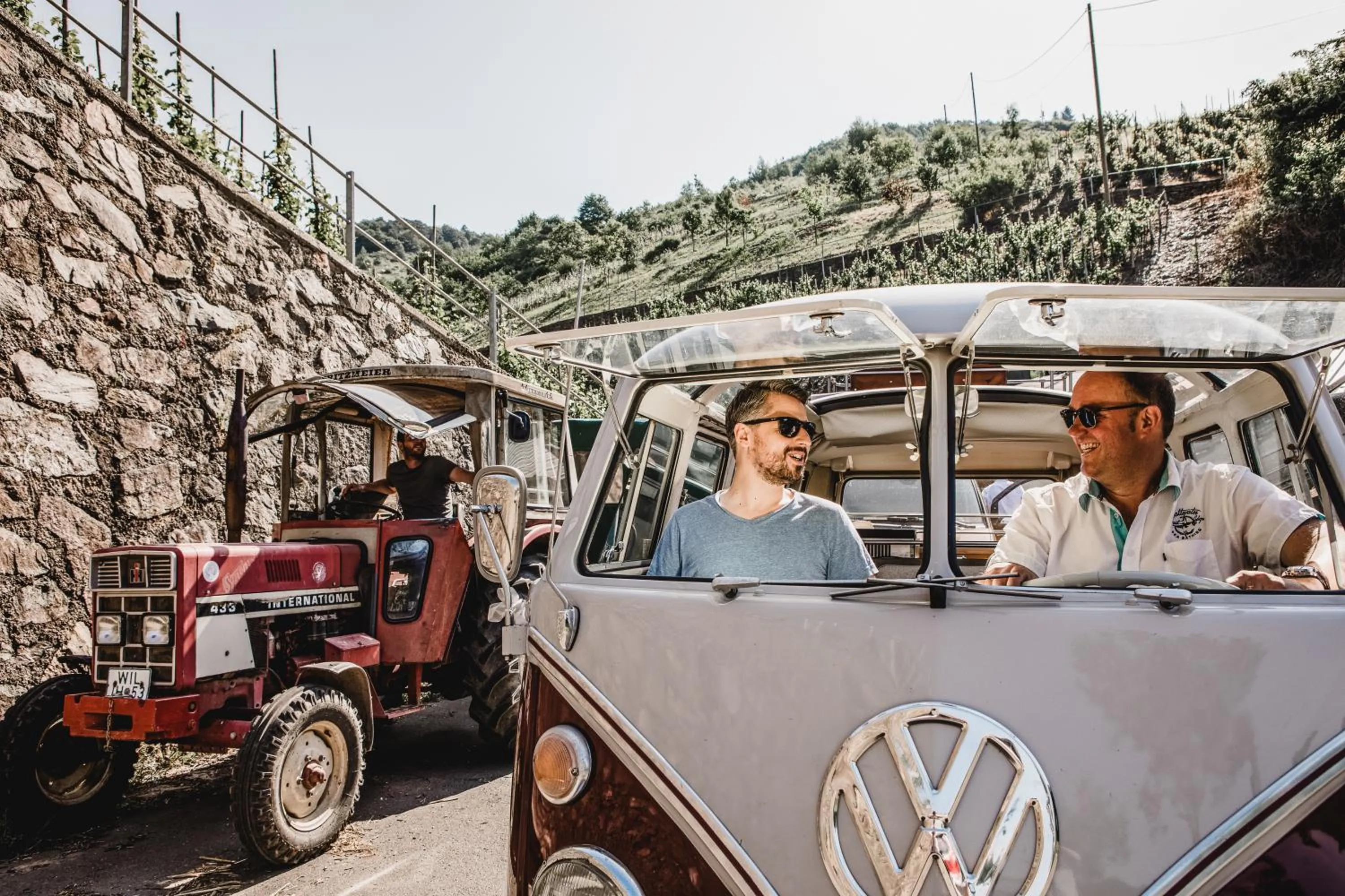 Activities in Hotel Zeltinger-Hof - Gasthaus des Rieslings