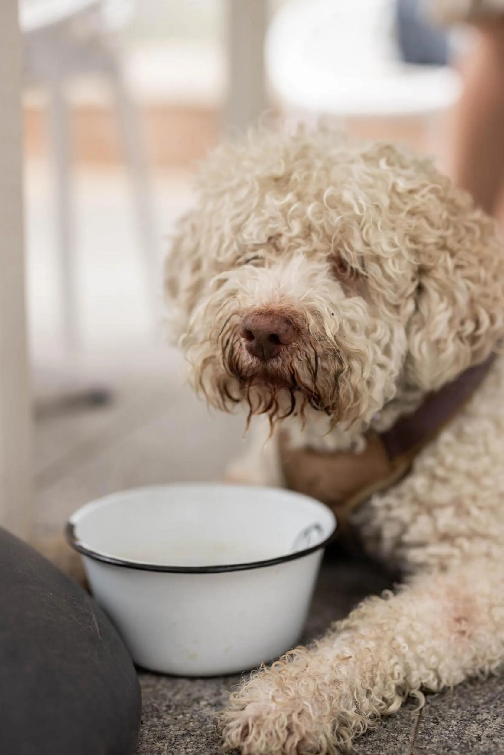 Natural landscape in Olive & Ivy Guesthouse