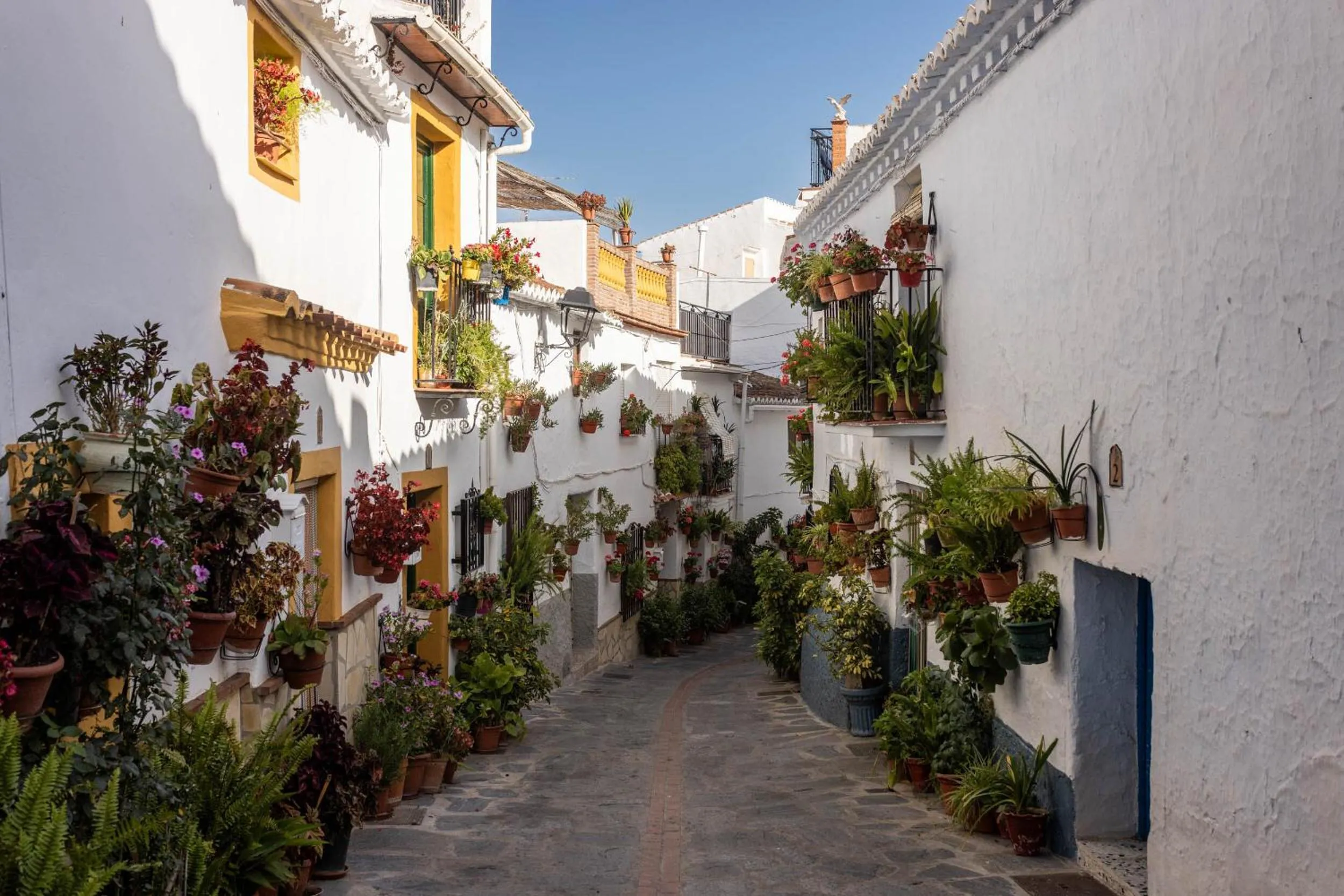 Neighbourhood in Olive & Ivy Guesthouse