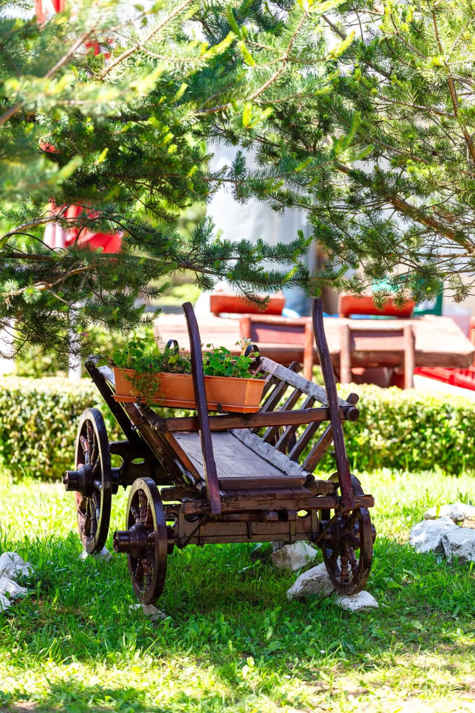 Decorative detail in Resort EuroPark Fundata