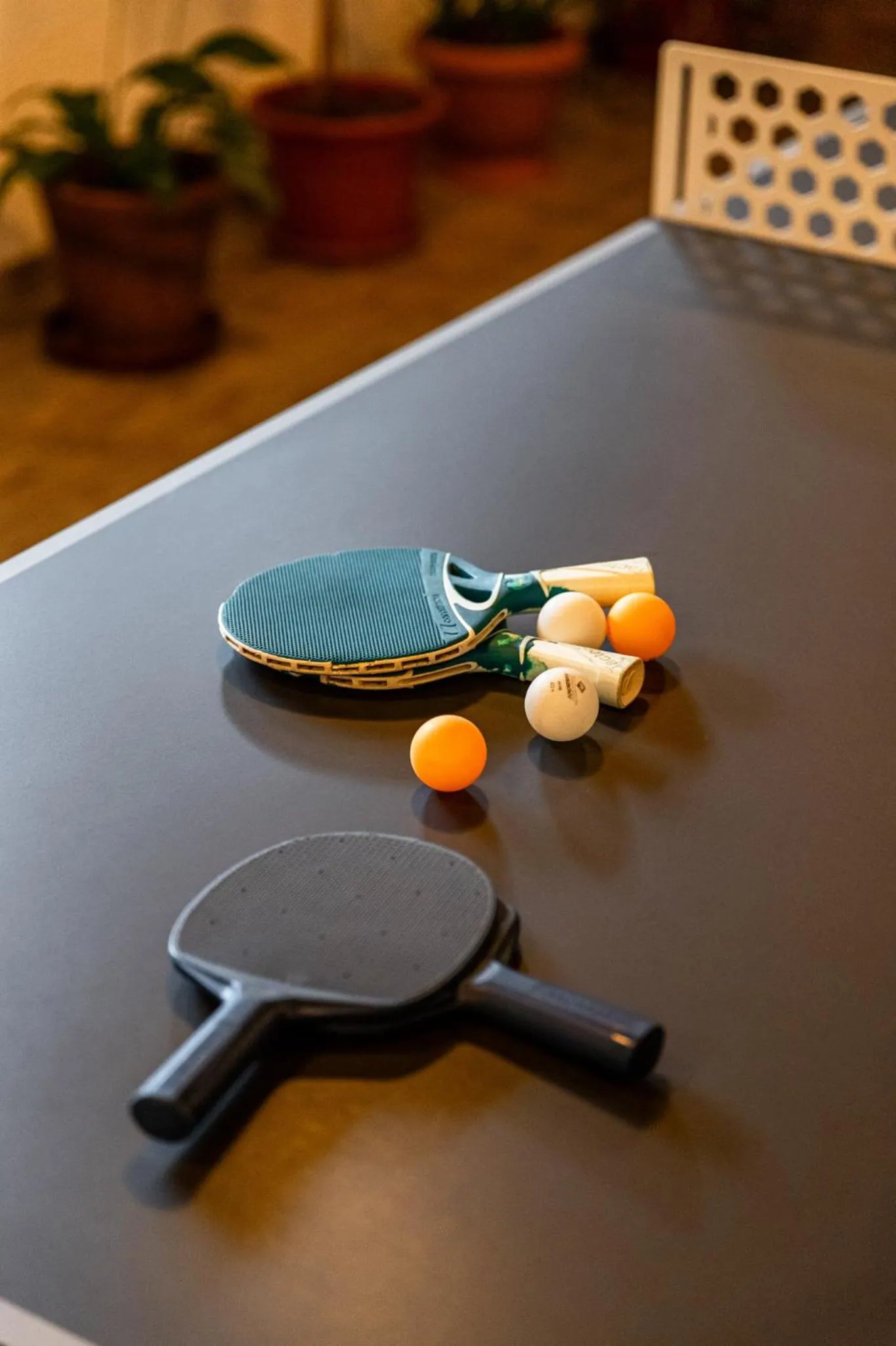 Table tennis in Resort EuroPark Fundata