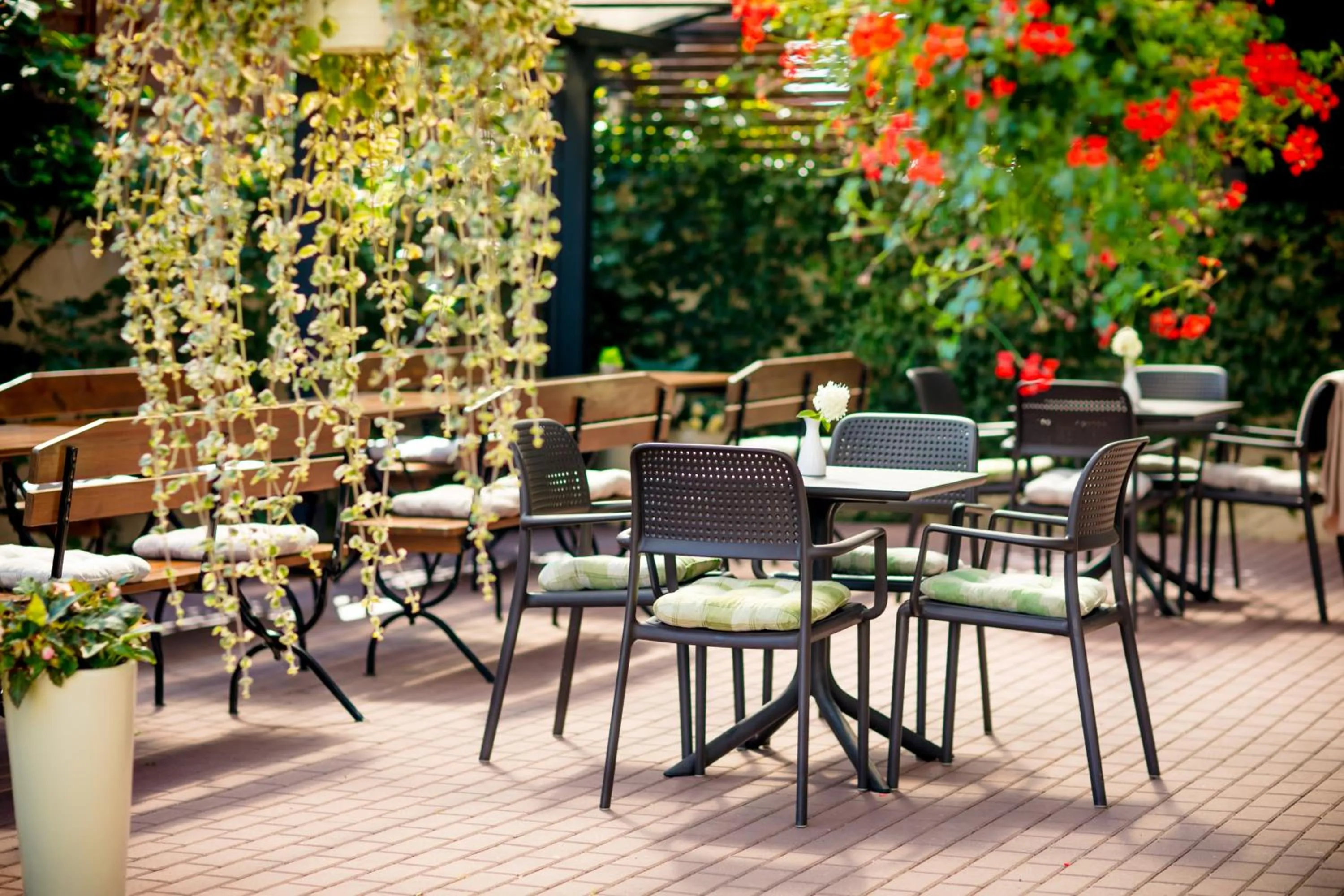 Garden in Hotel Onyx