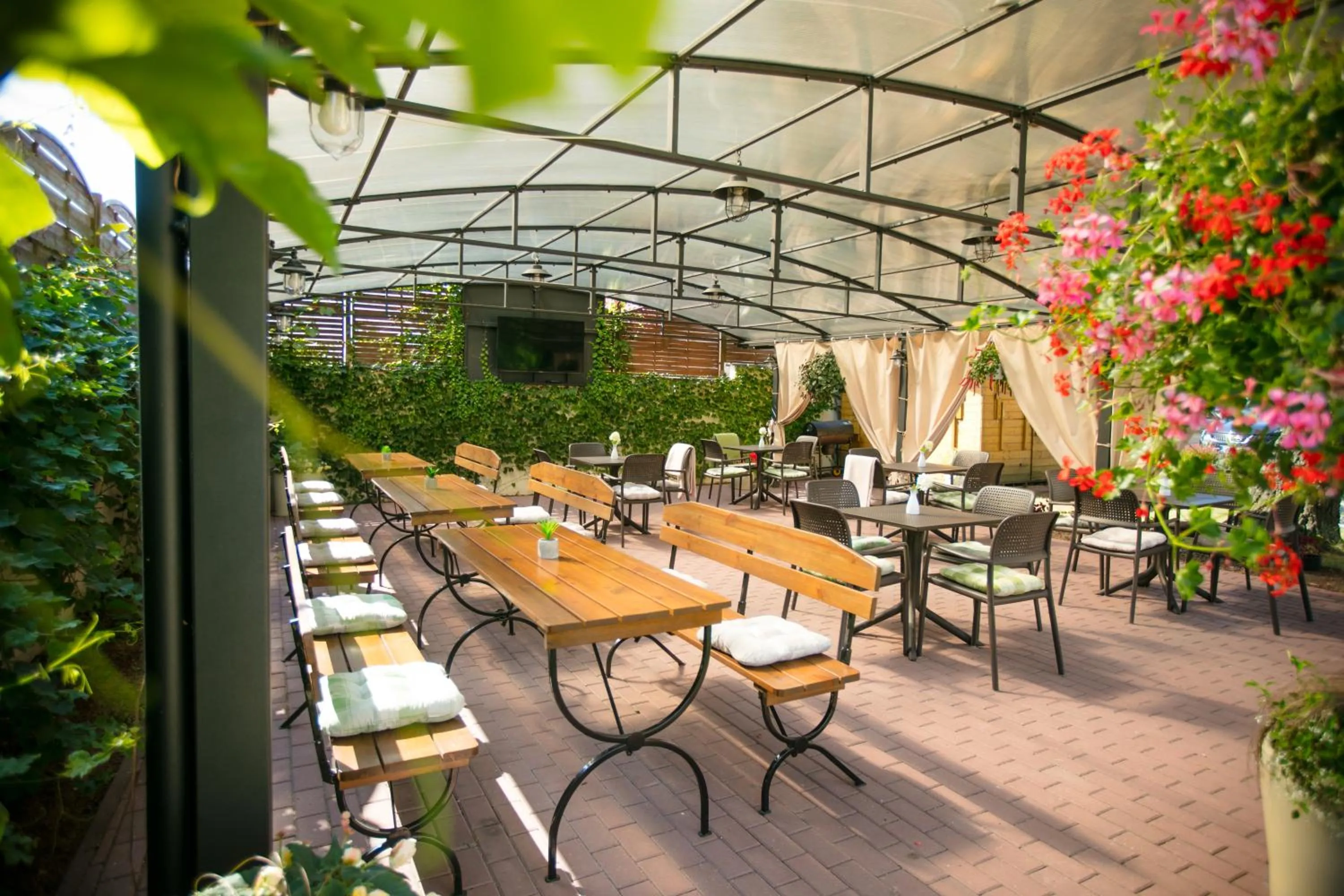 Garden in Hotel Onyx