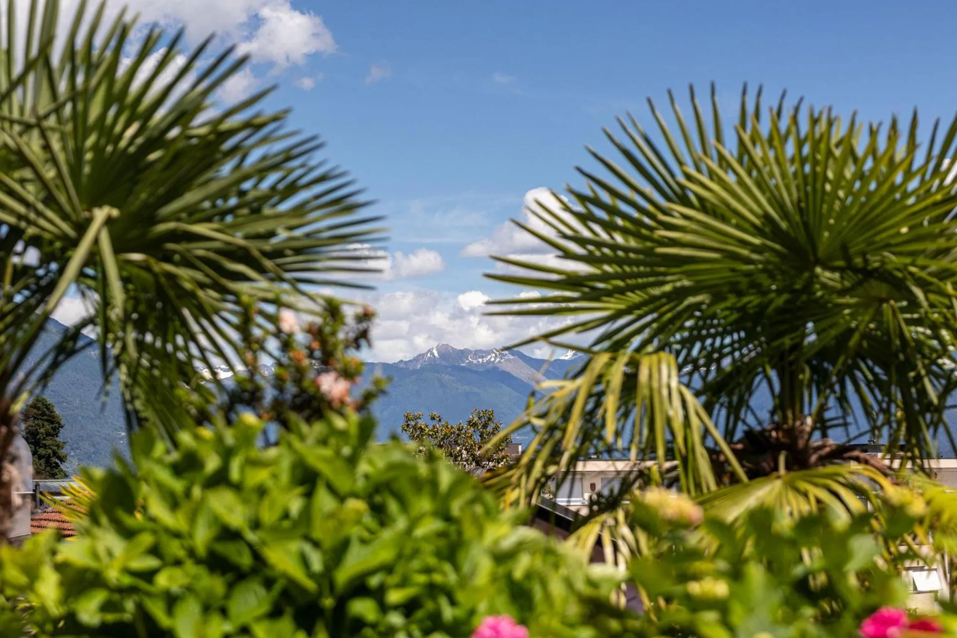 Day in Easy Stay by Hotel La Perla