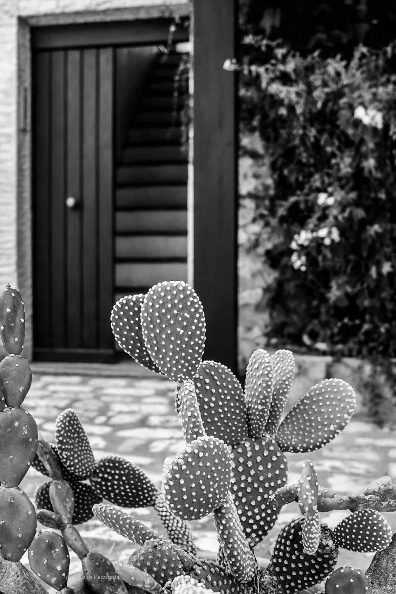 Il Casale il Sole e la Margherita