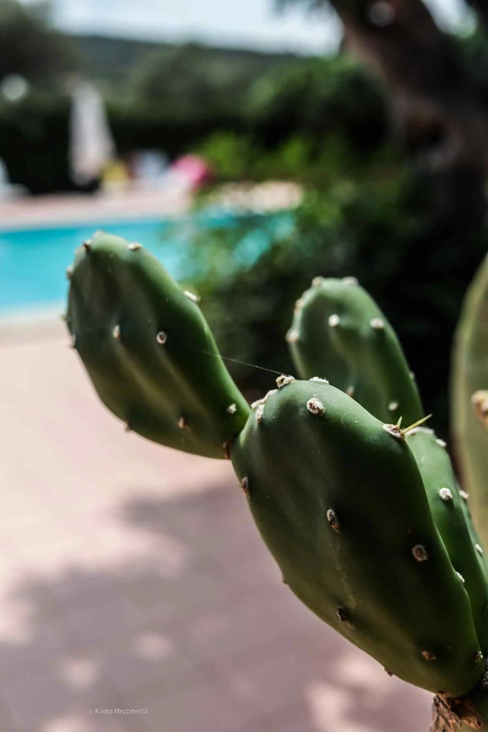 Il Casale il Sole e la Margherita