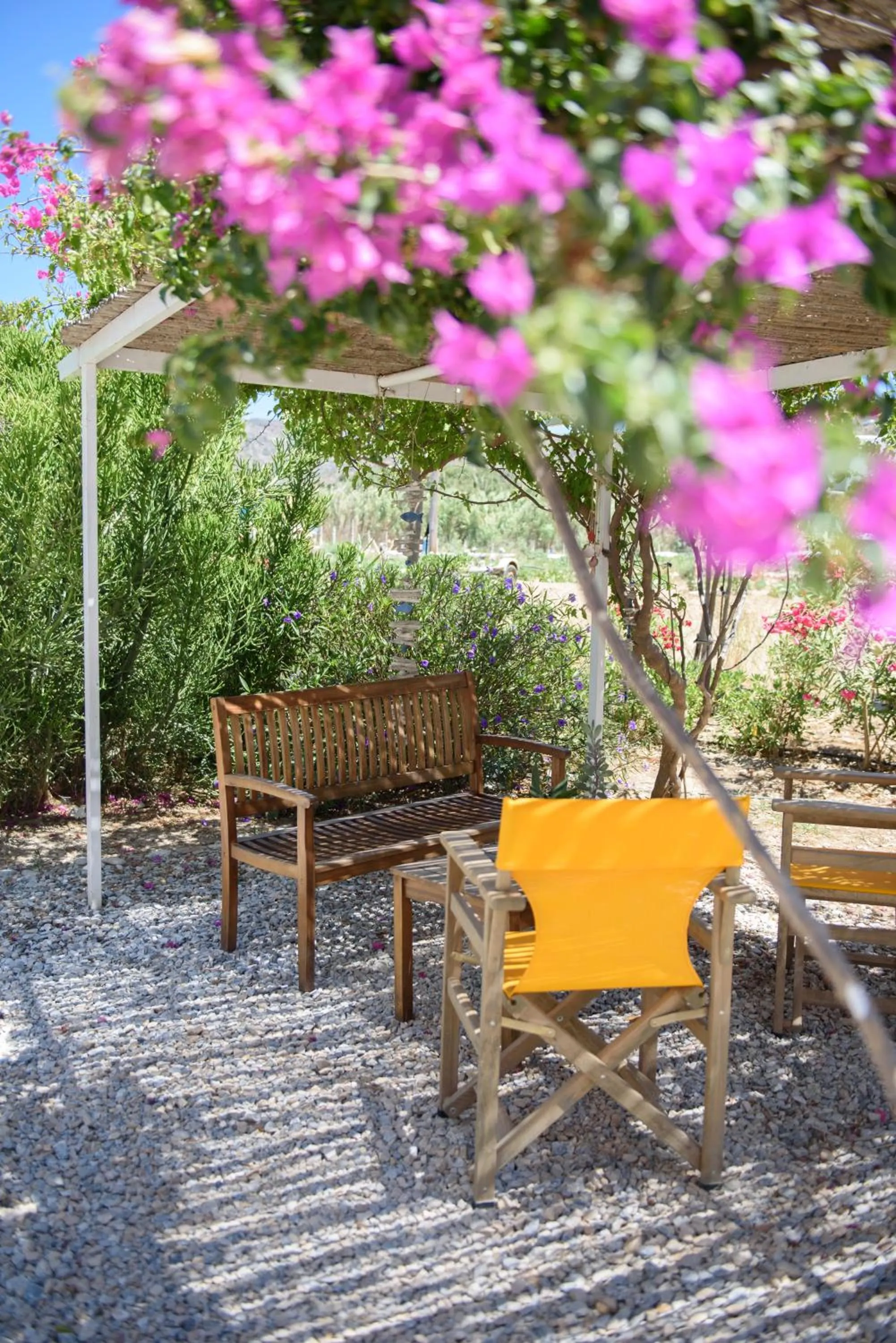 Garden in Porto Katapola Pension