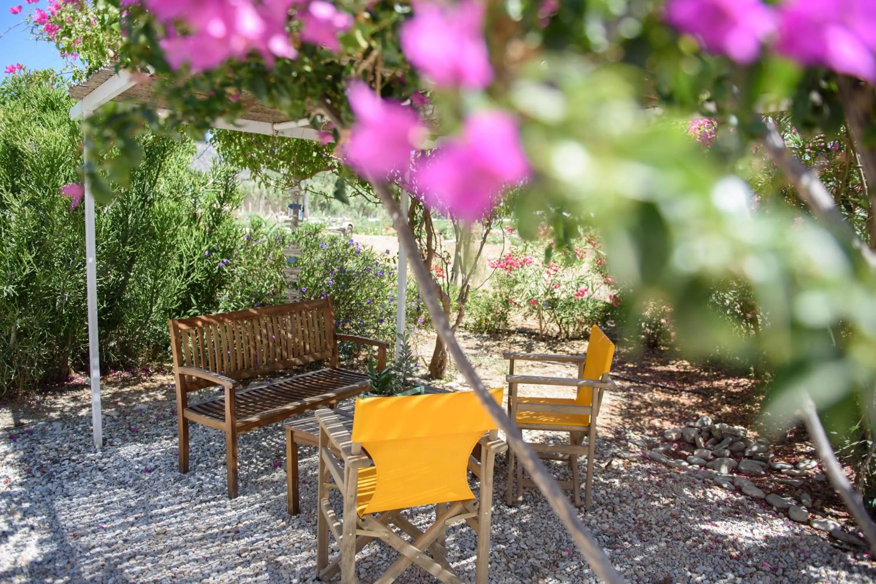 Garden in Porto Katapola Pension