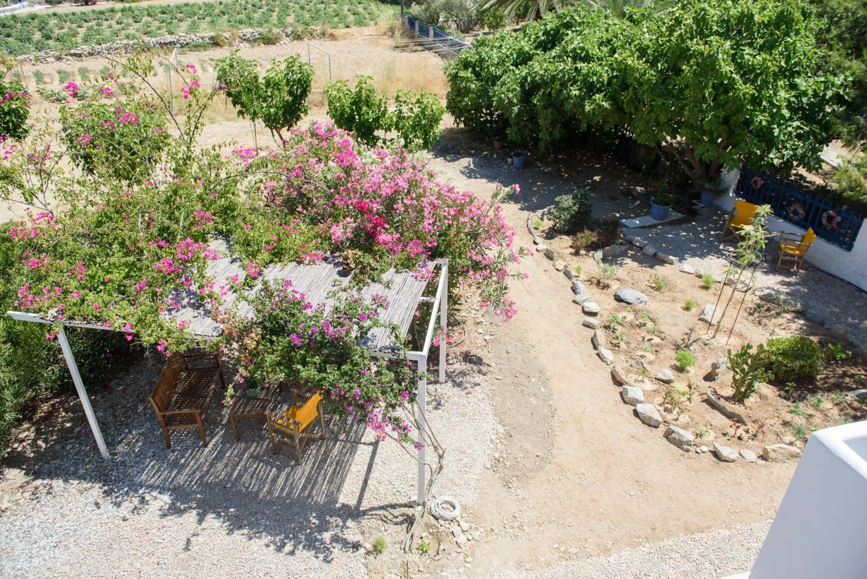 Garden in Porto Katapola Pension