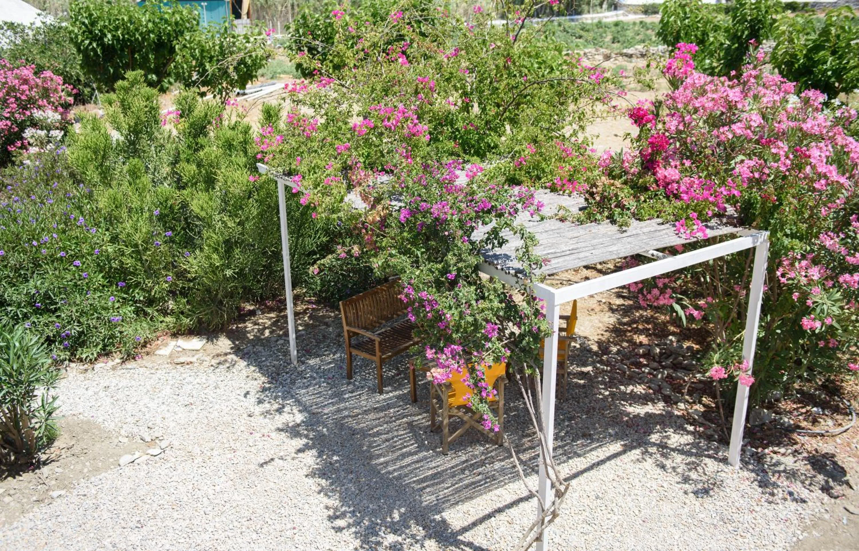 Garden in Porto Katapola Pension