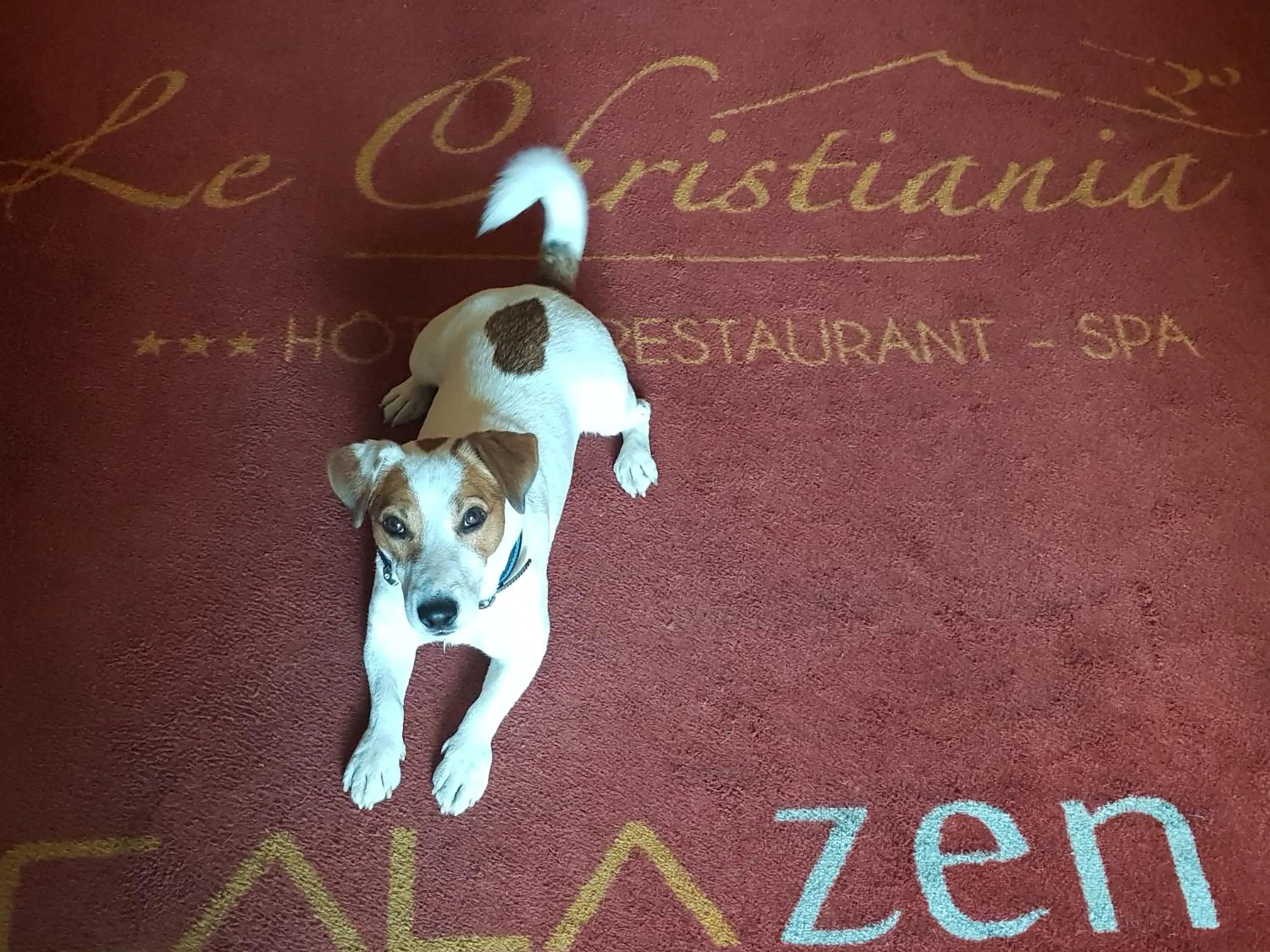 Property logo or sign in Logis Hôtel et Spa Le Christiania