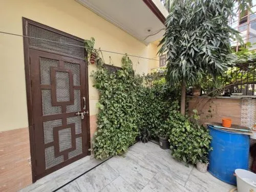 Garden in Taj Street Hostel