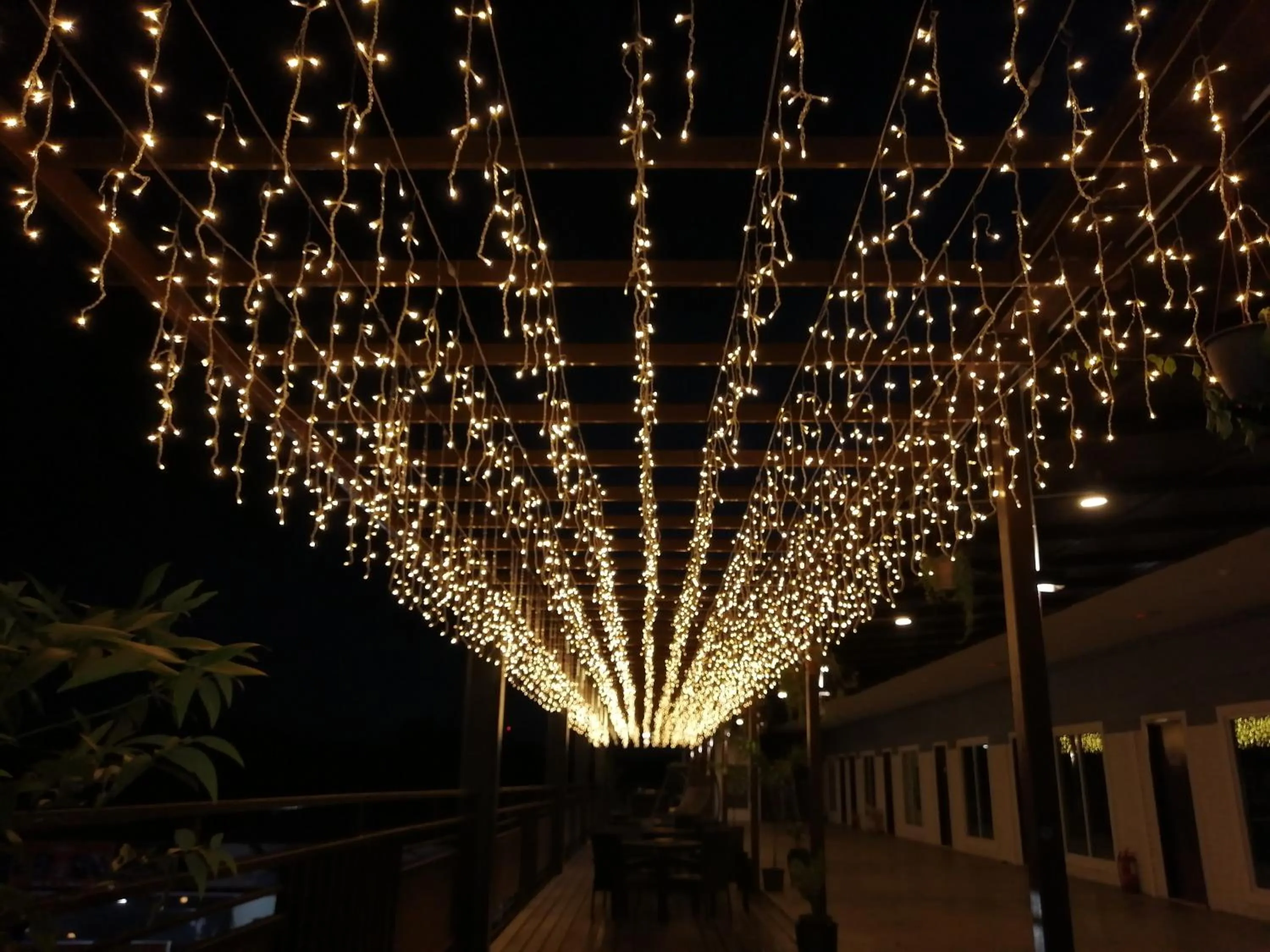 Property building in Wings Hotel