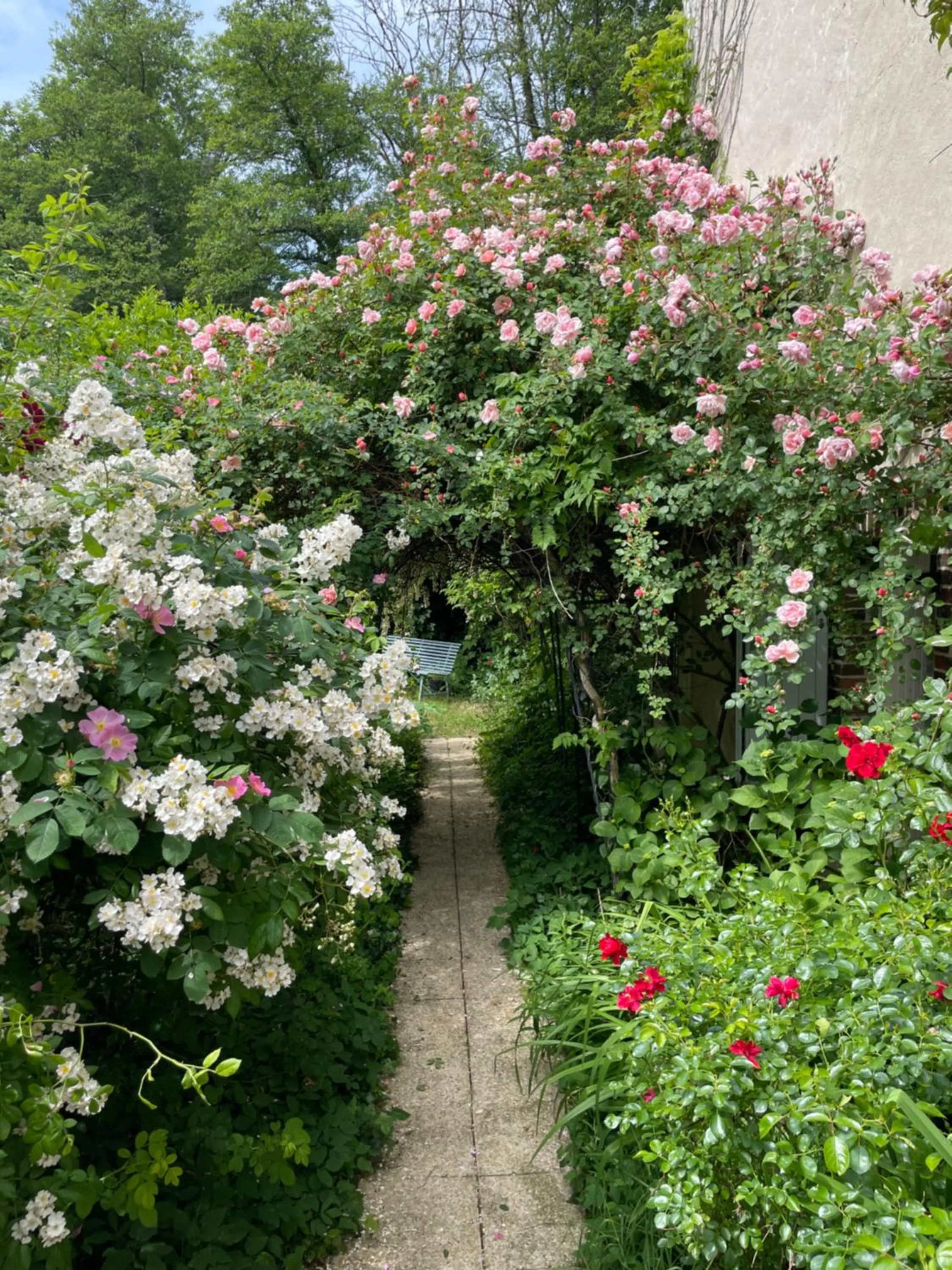 Garden view in Il était une fois un jardin