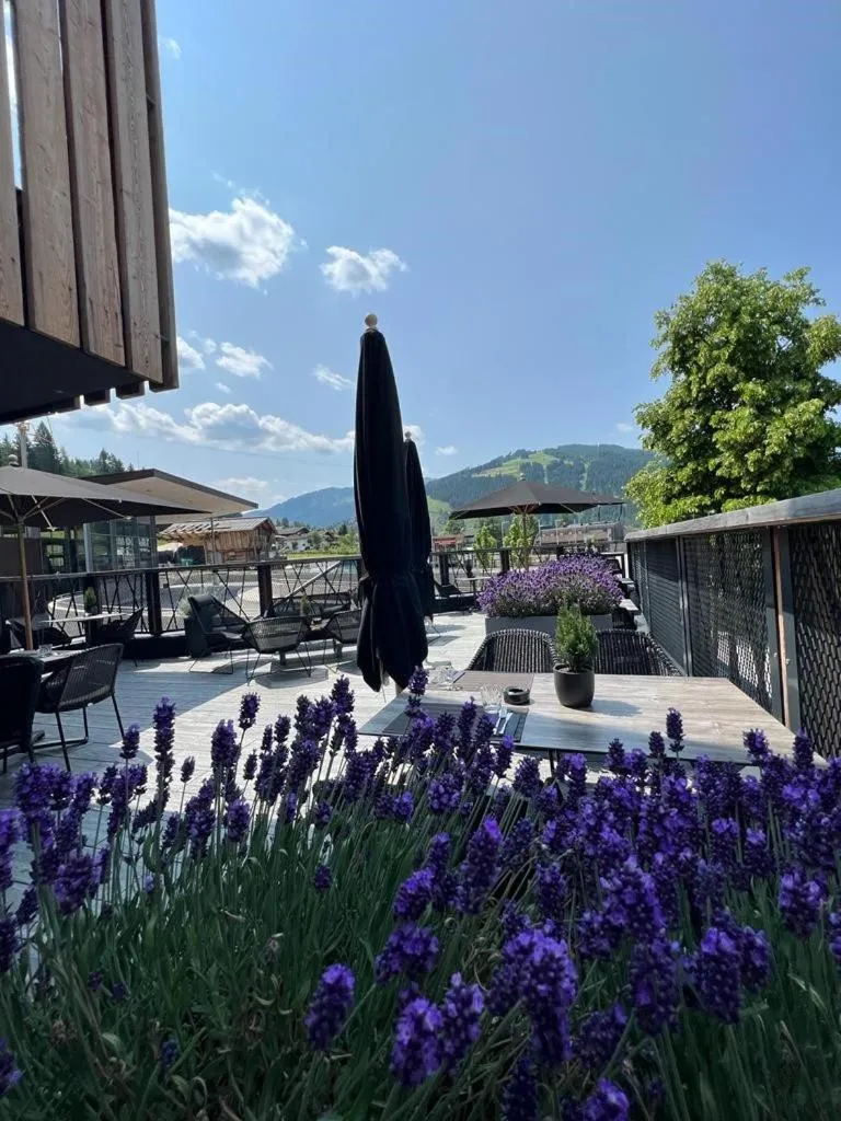 ALMMONTE PRÄCLARUM SUITES - Casual Boutique Hotel