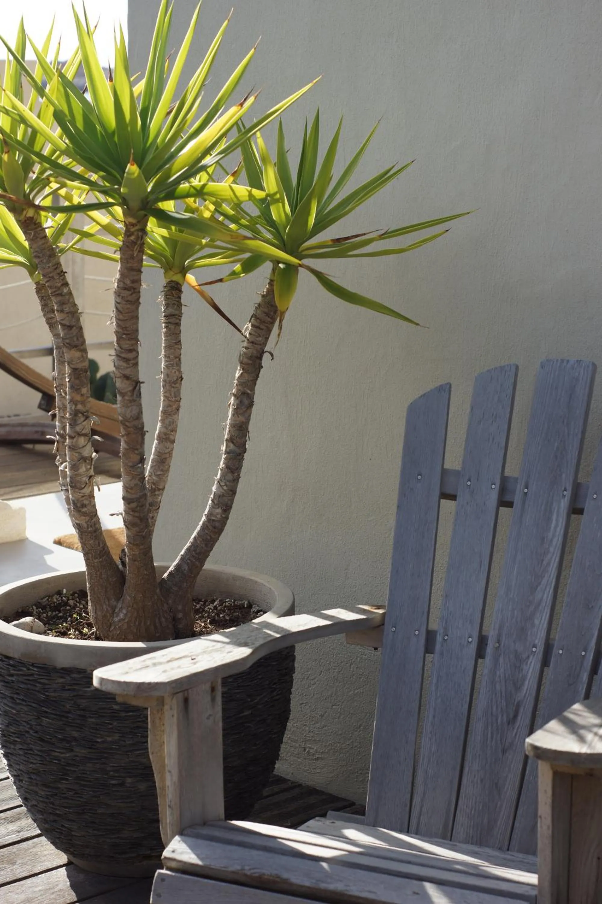 Day in Hotel Plein Large