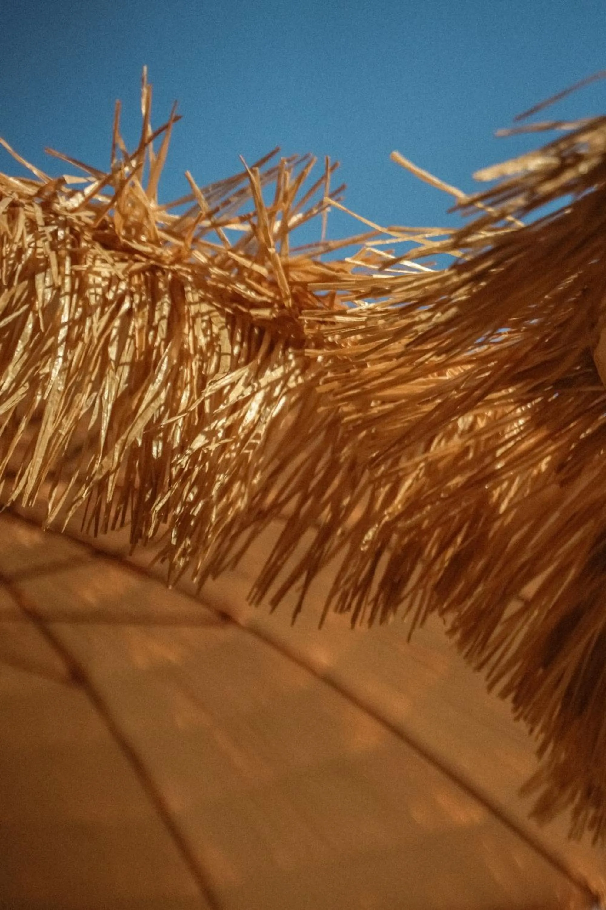 Day in Hotel Plein Large