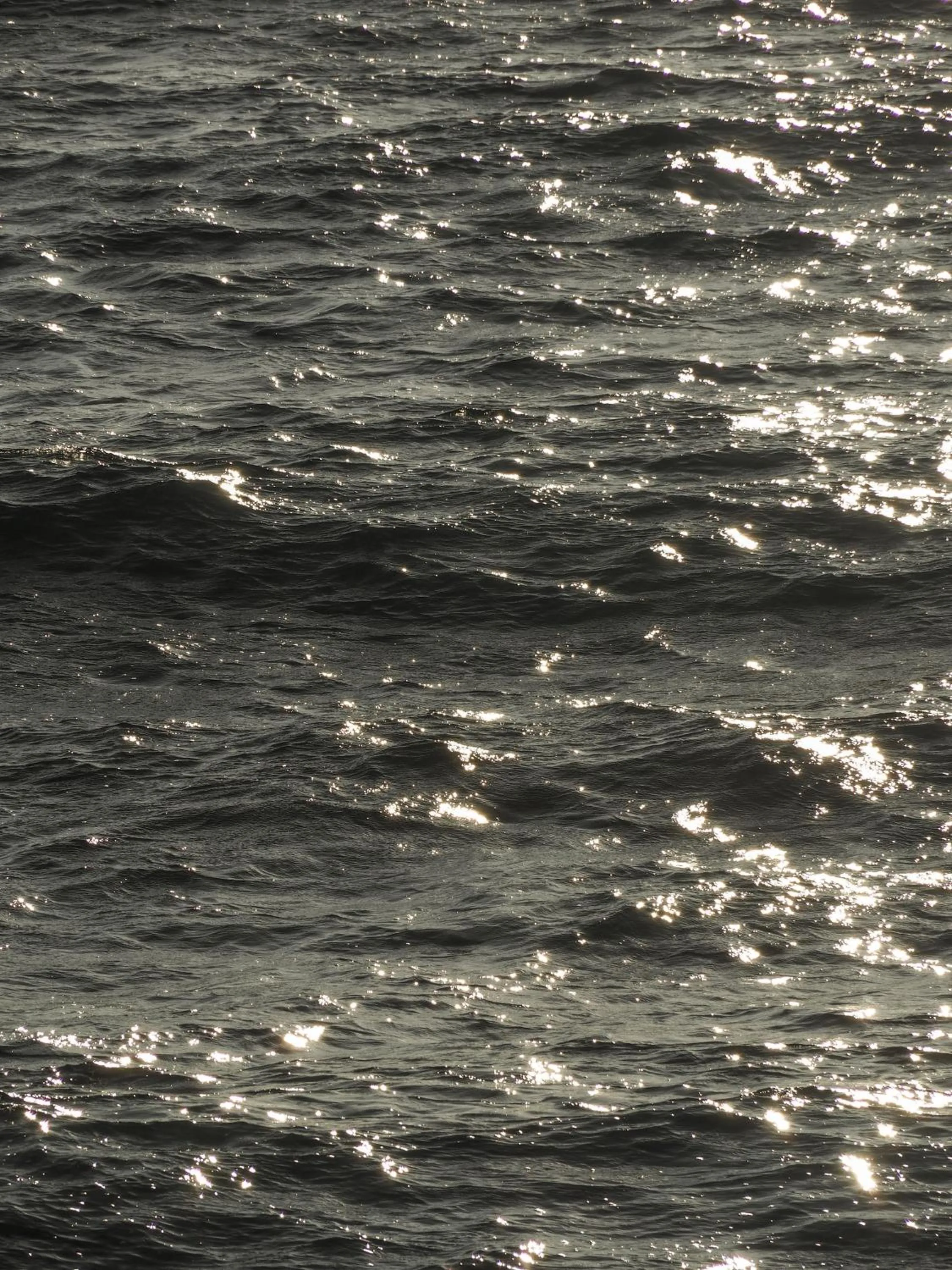 Day in Hotel Plein Large