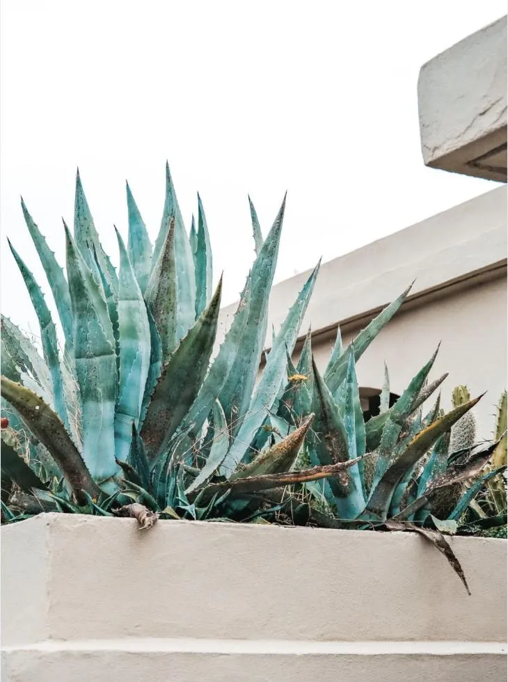 Property building in Hotel Plein Large