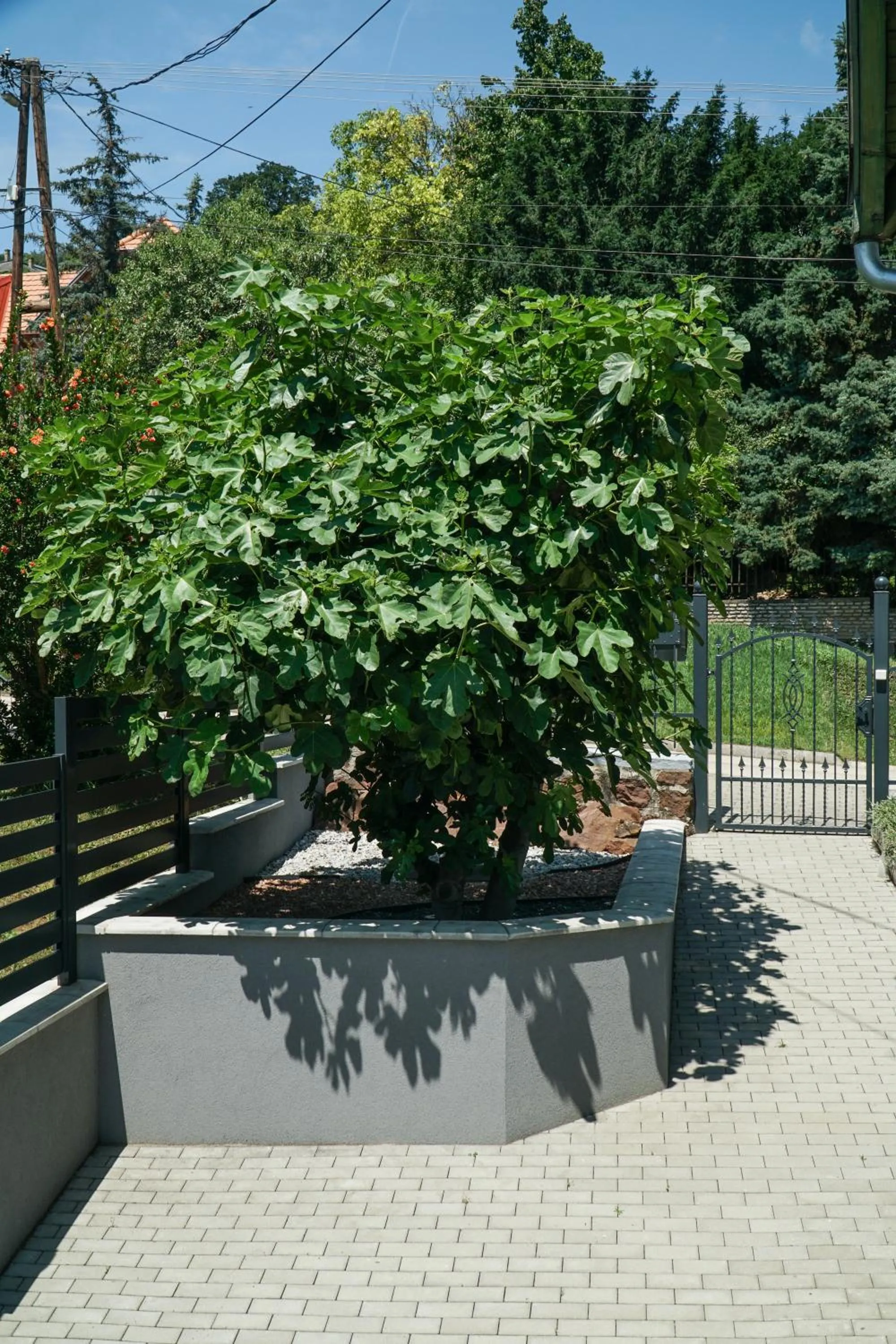 Garden in Fügefa Apartman