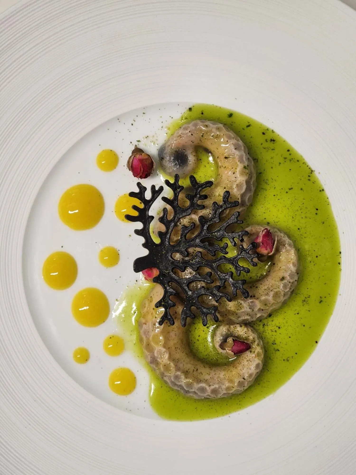 Restaurant/places to eat in Palazzo Bifora