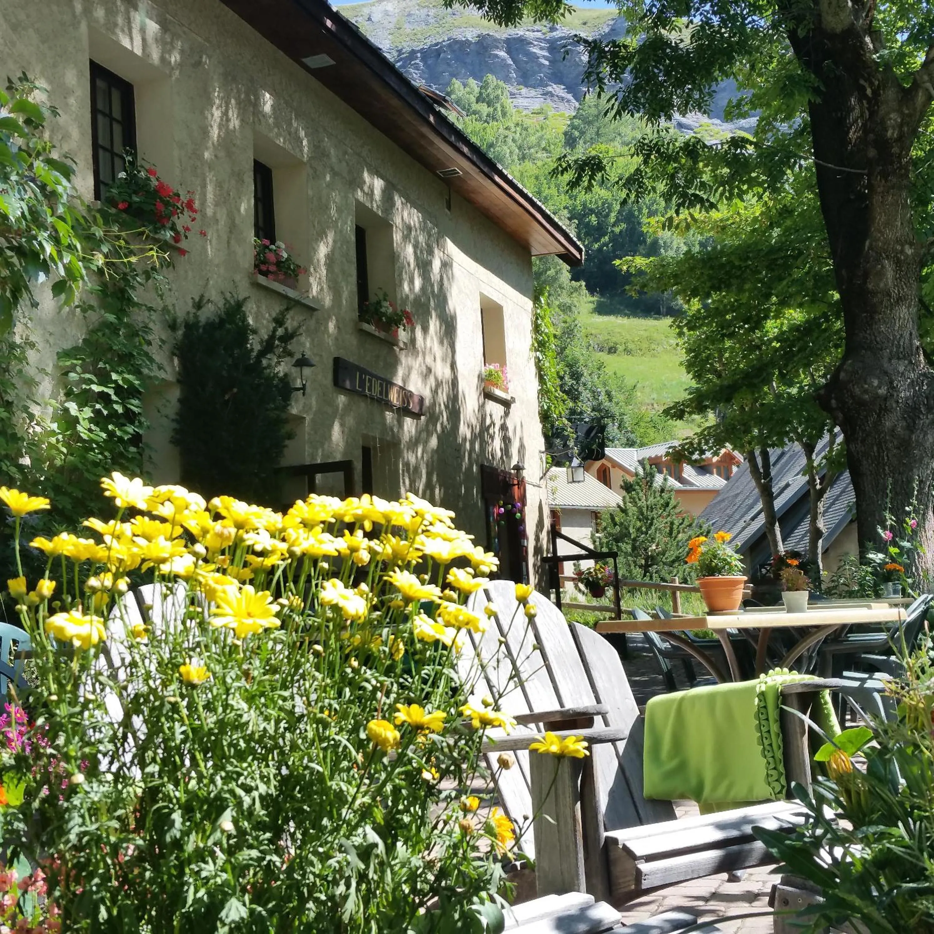 Patio in Hotel Auberge Edelweiss