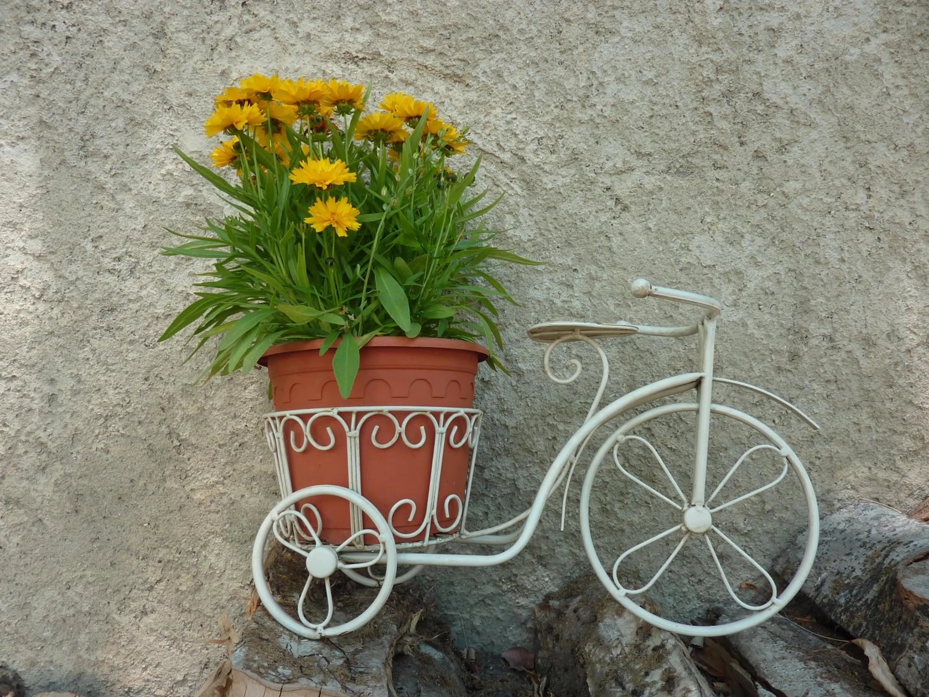 Cycling in Hotel Auberge Edelweiss
