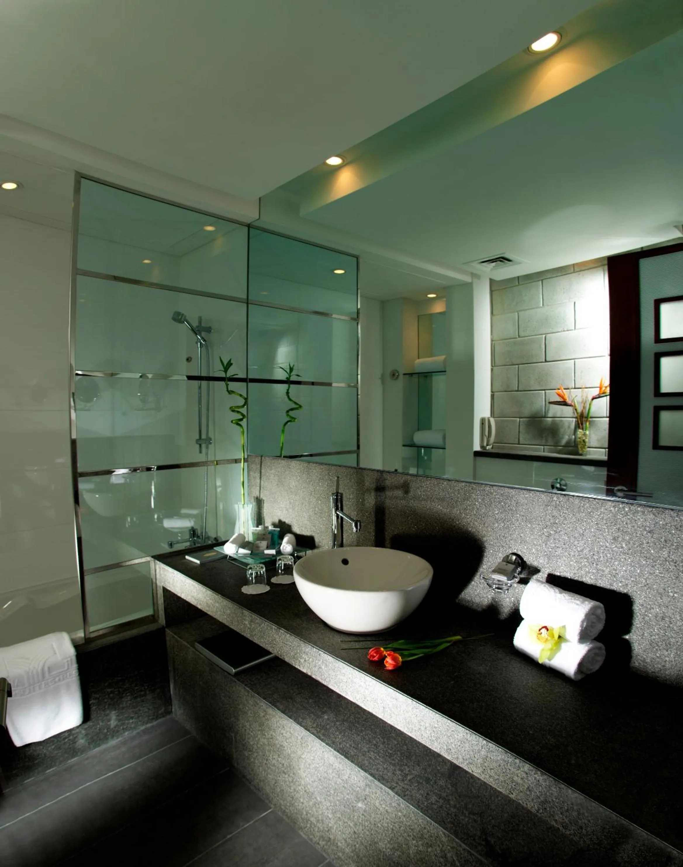 Bathroom in Villa Rotana