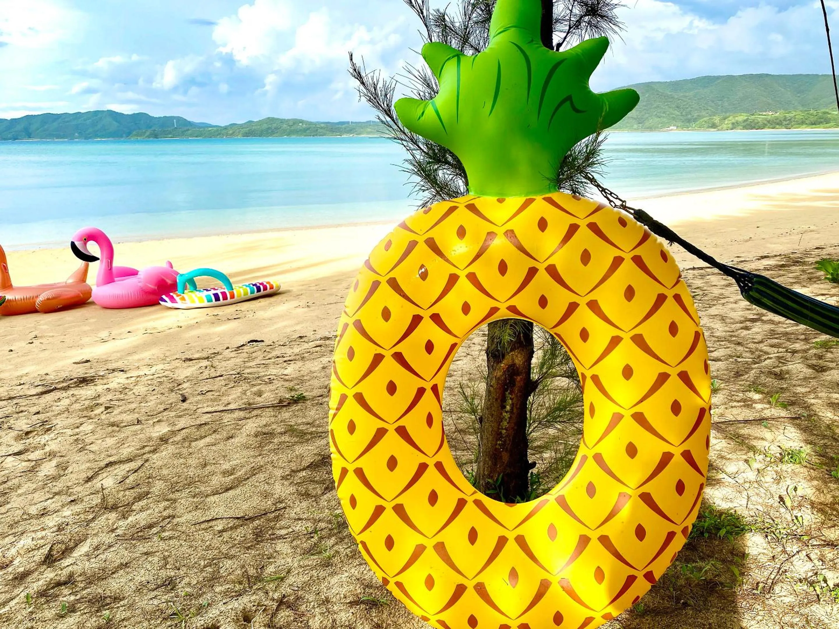 Area and facilities in Le Grand Bleu